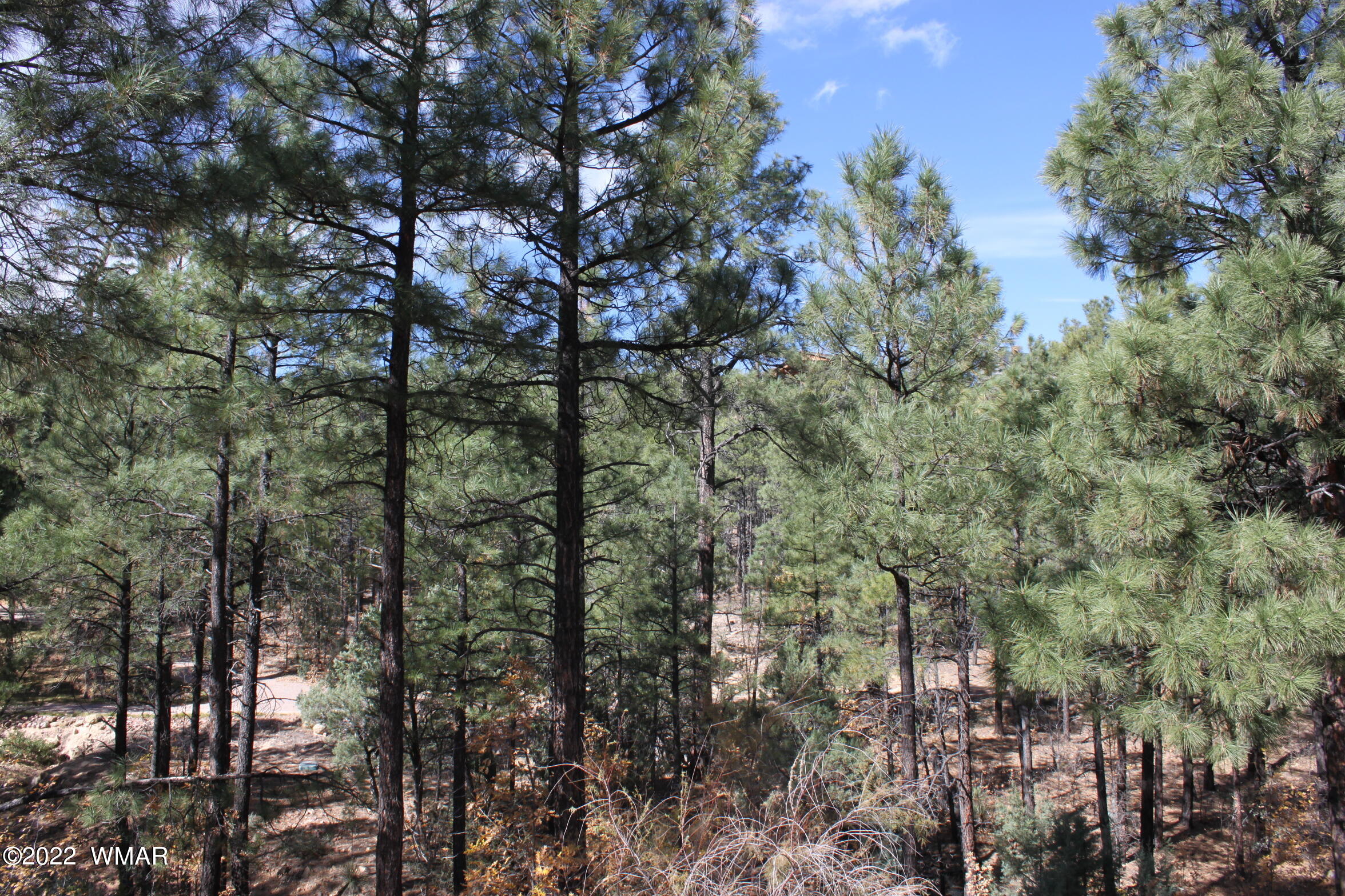 1970 S Pleasant View Drive