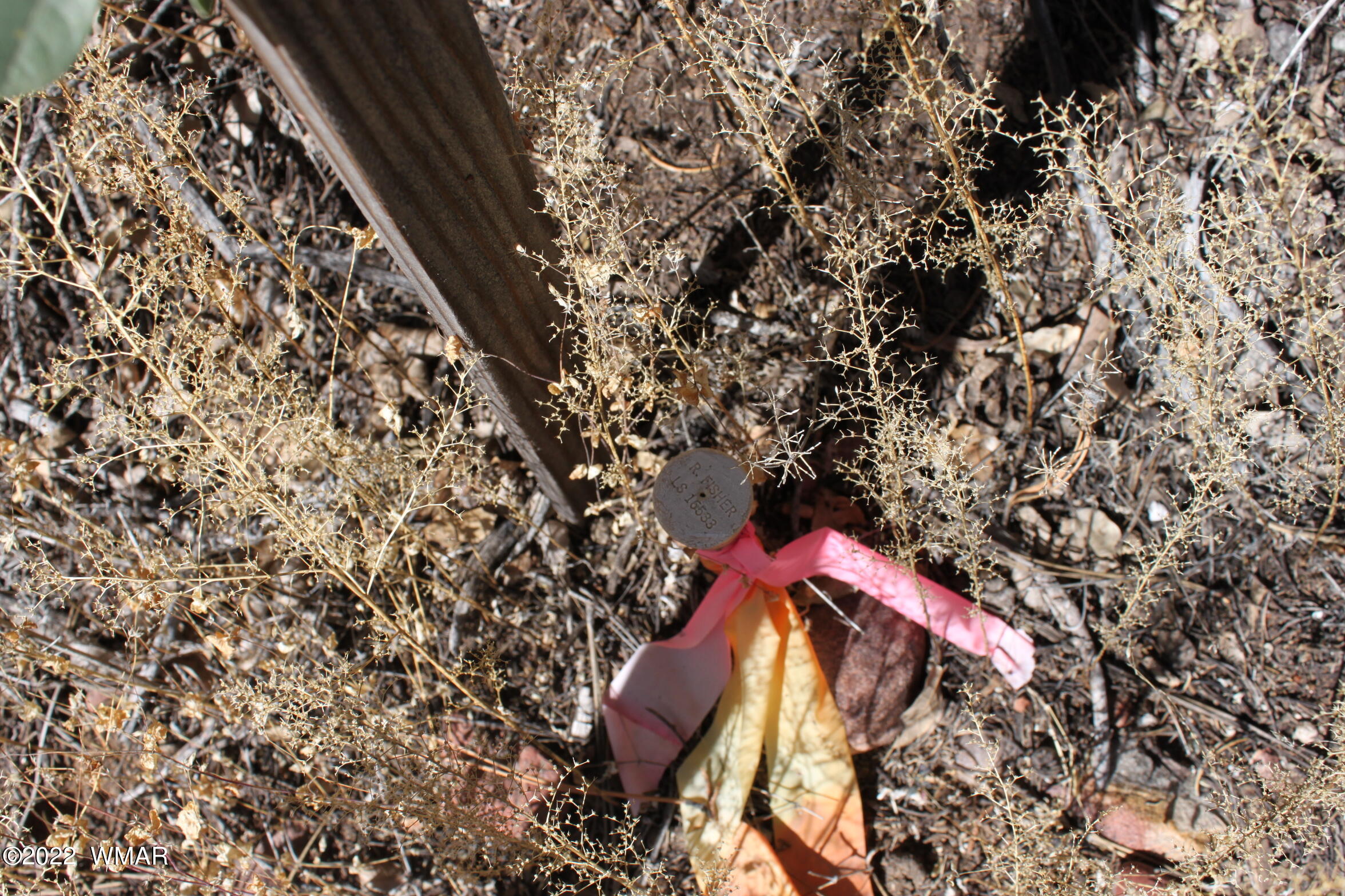 1970 S Pleasant View Drive