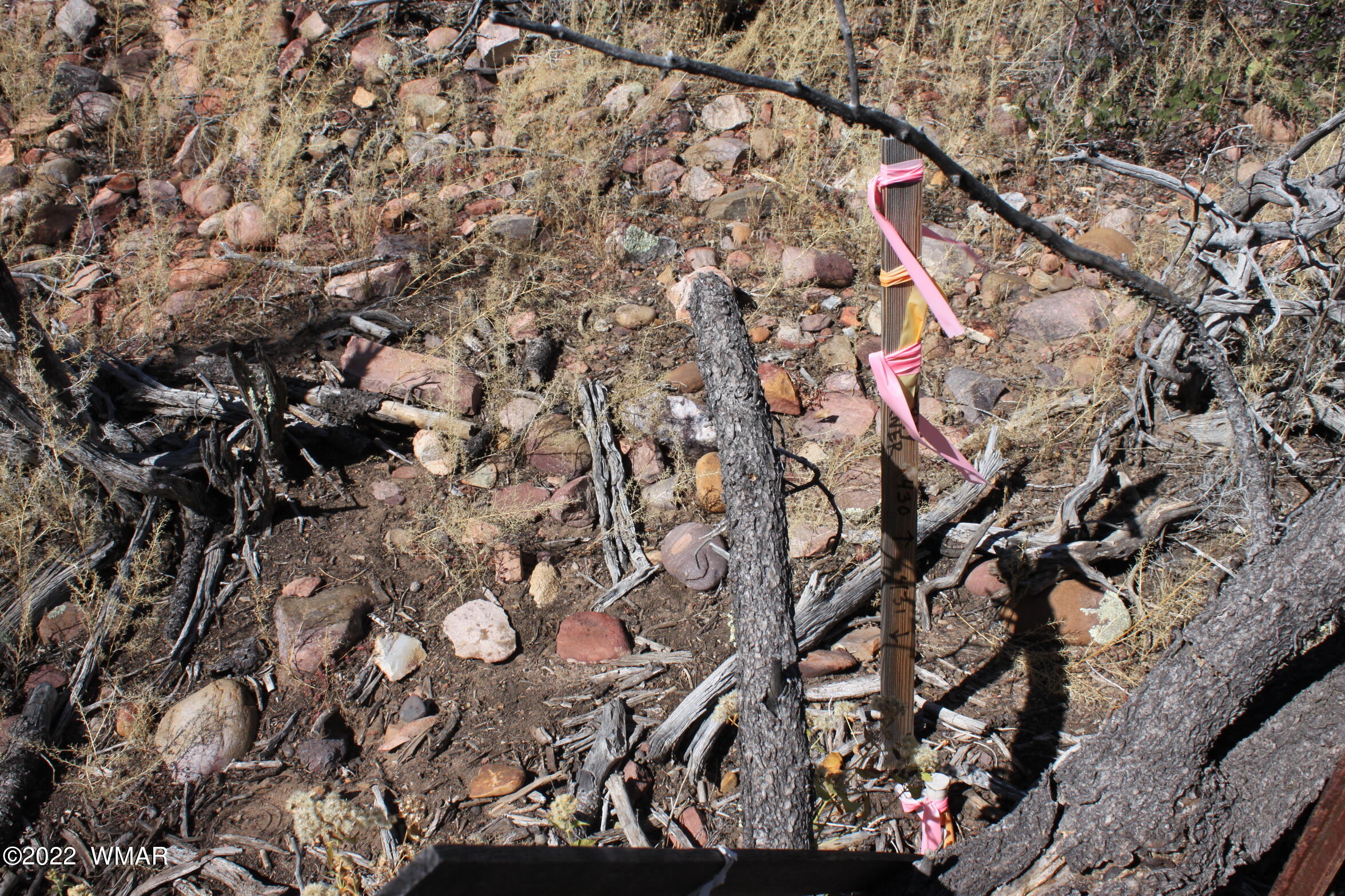 1970 S Pleasant View Drive