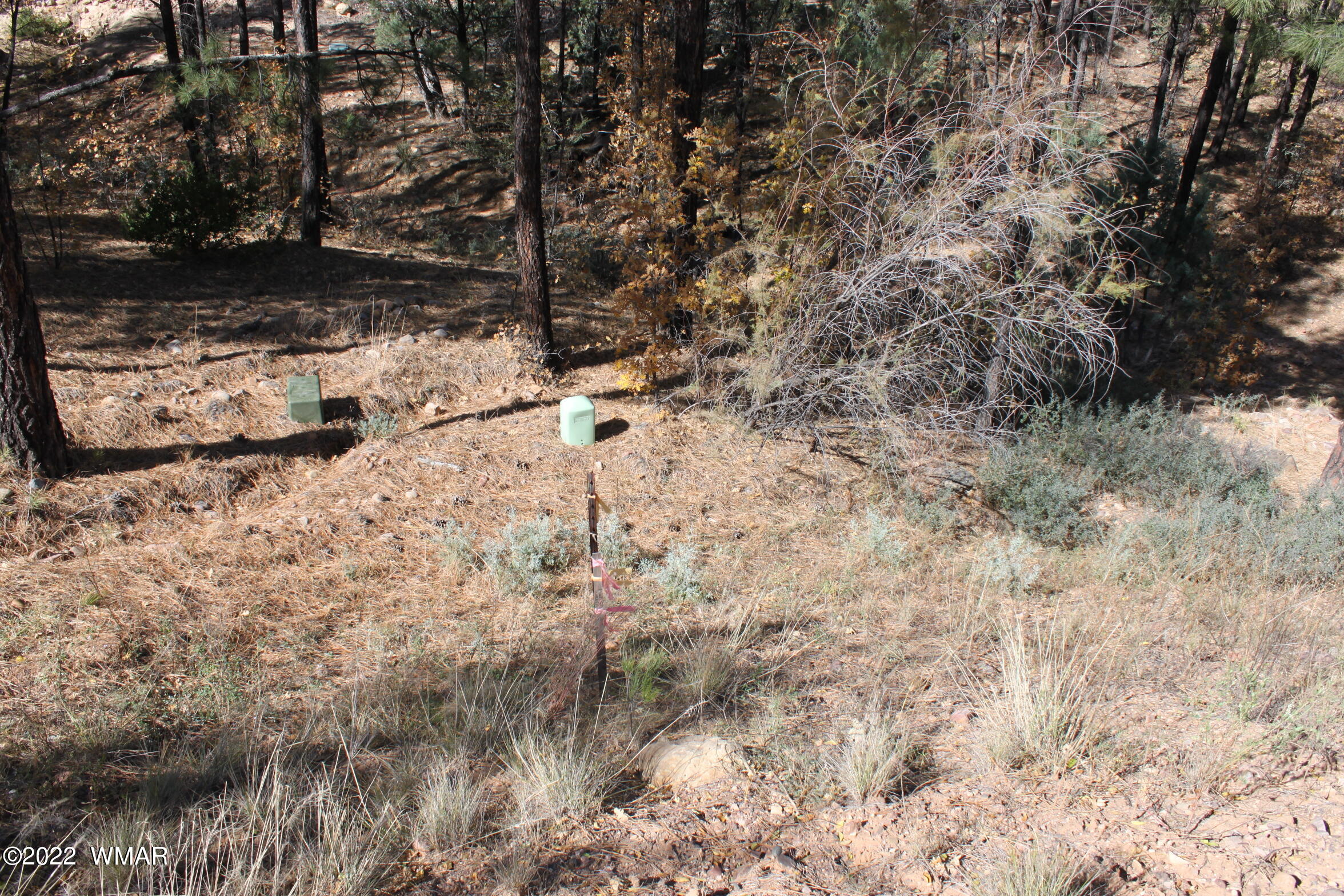 1970 S Pleasant View Drive