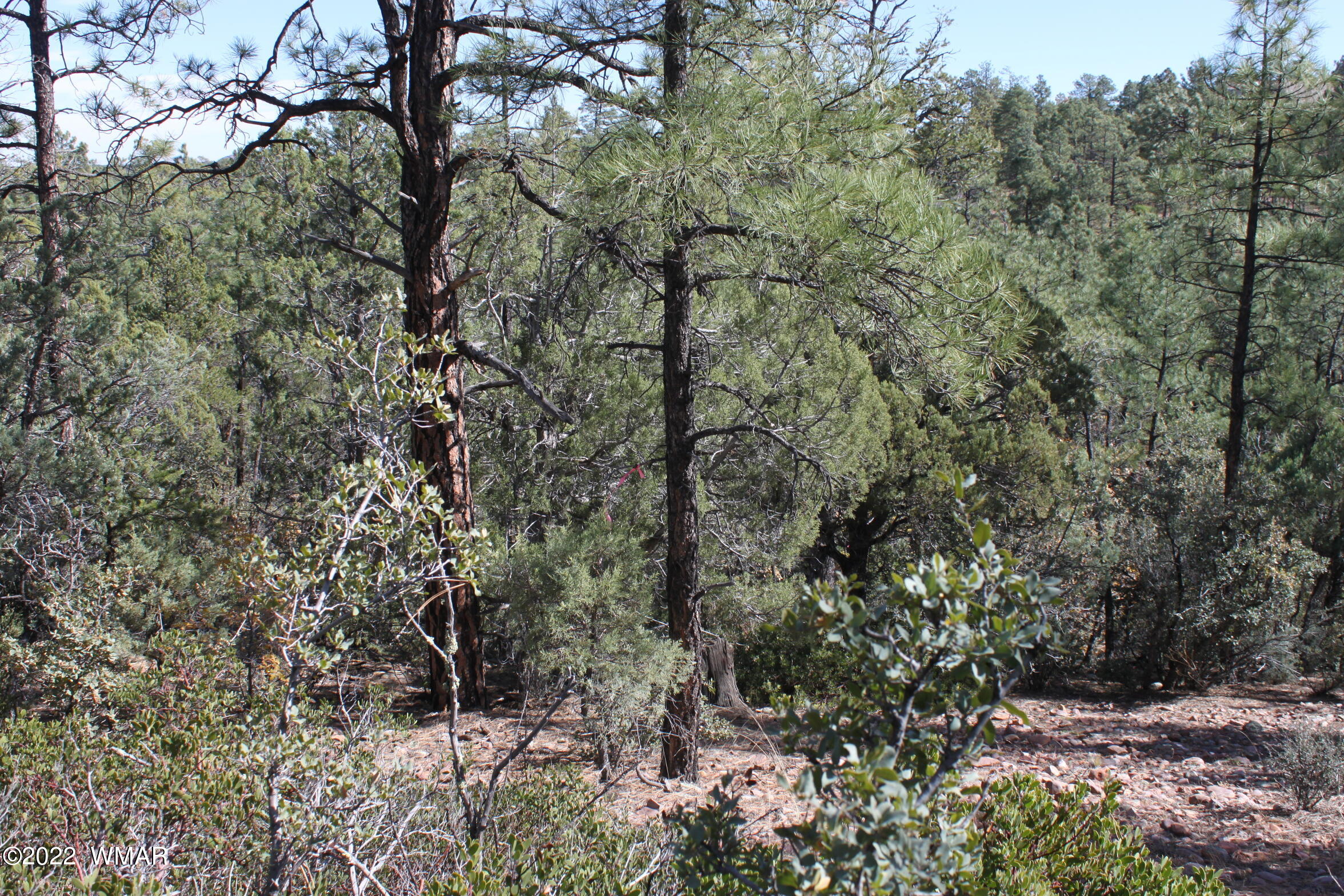 1970 S Pleasant View Drive