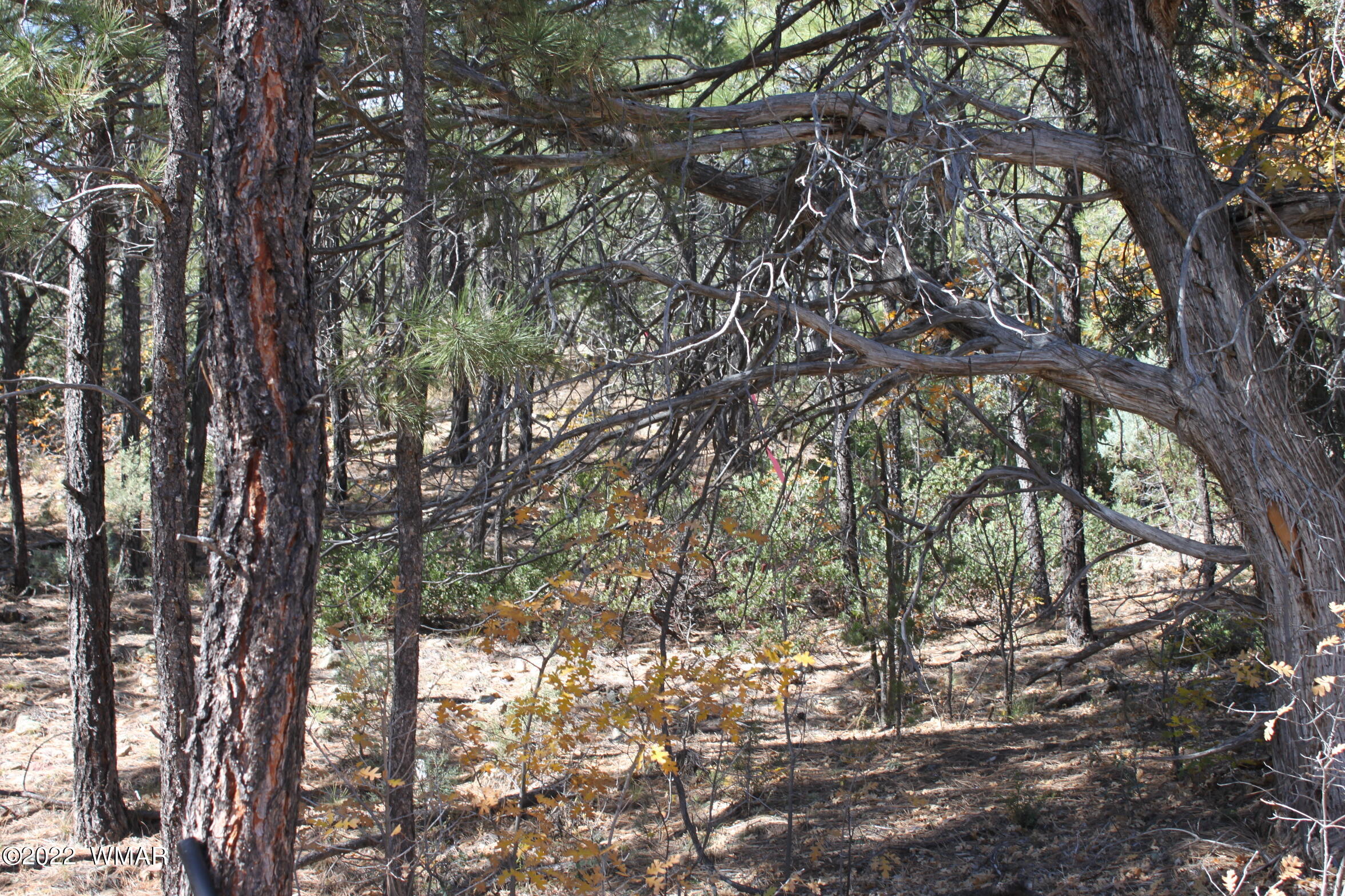 1970 S Pleasant View Drive