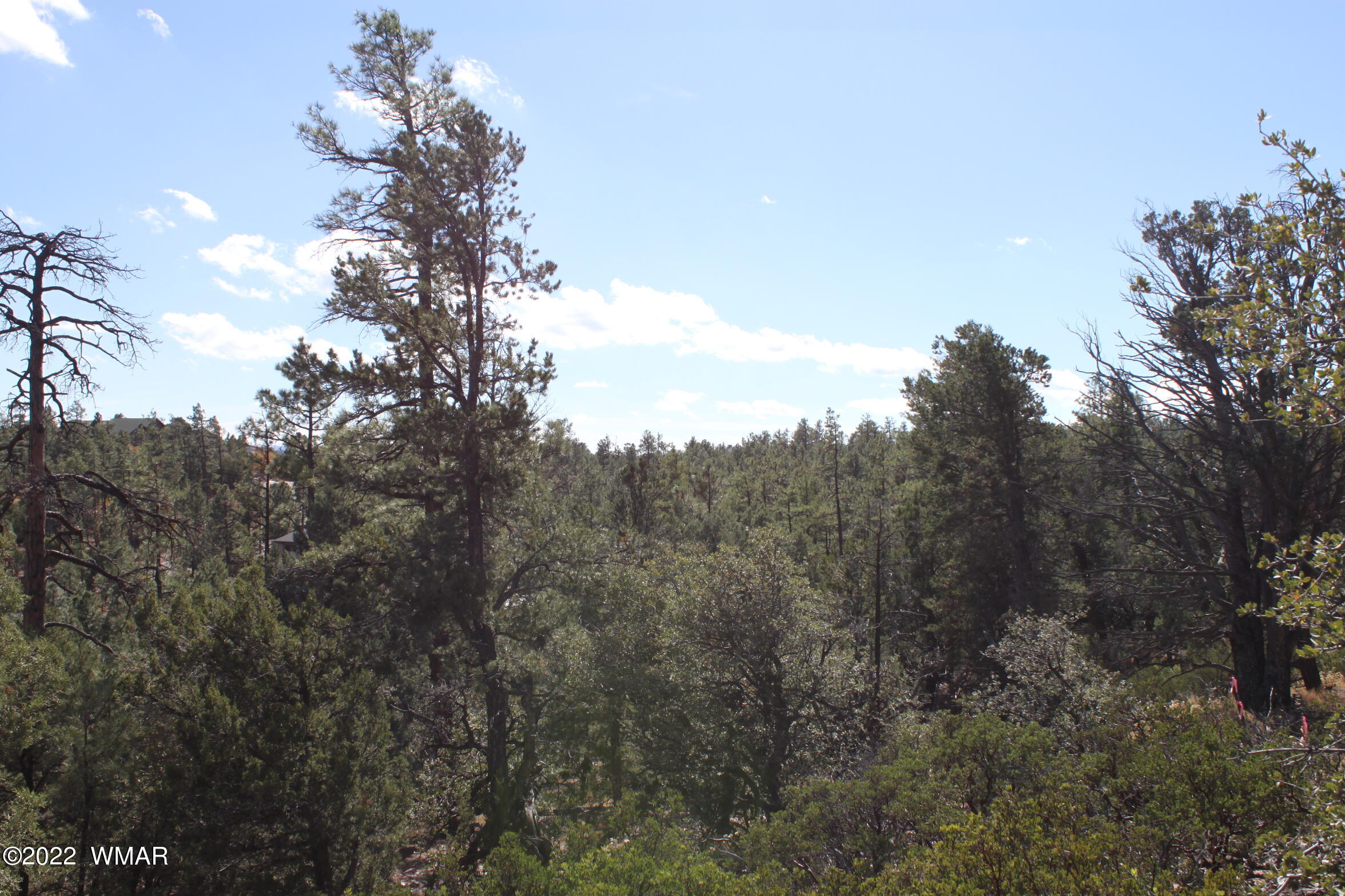 1970 S Pleasant View Drive