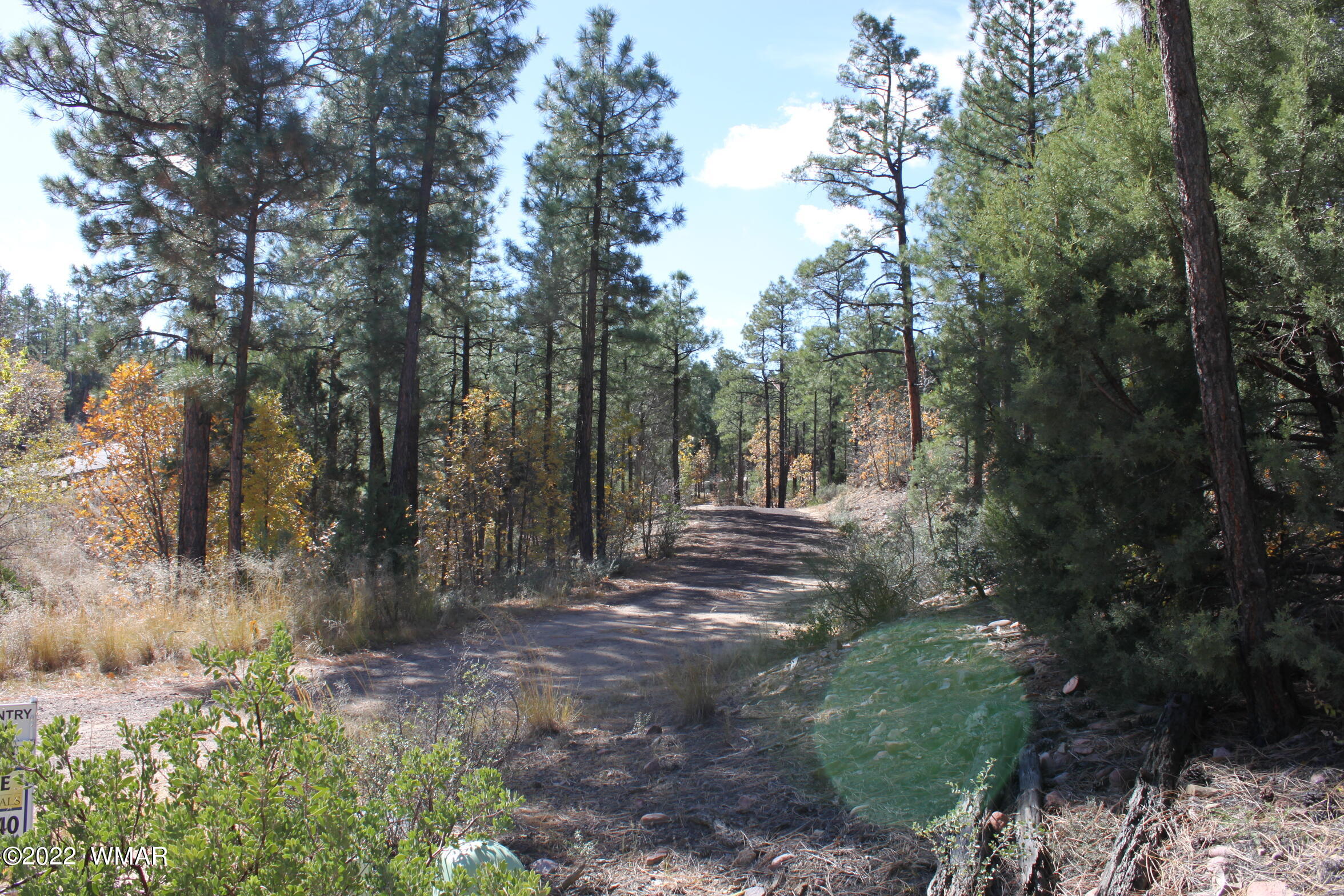 1970 S Pleasant View Drive