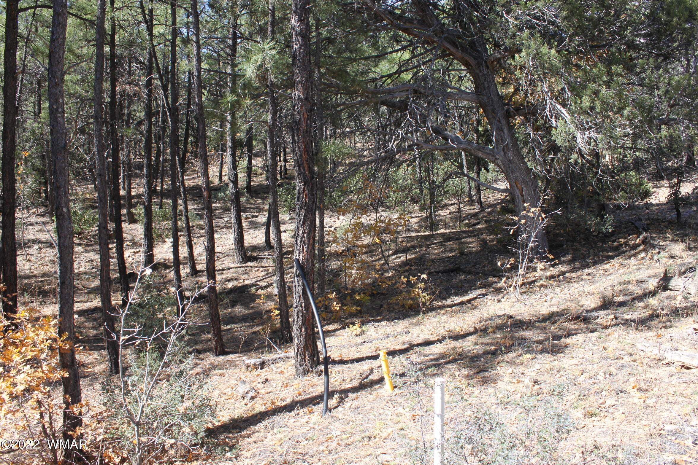 1970 S Pleasant View Drive