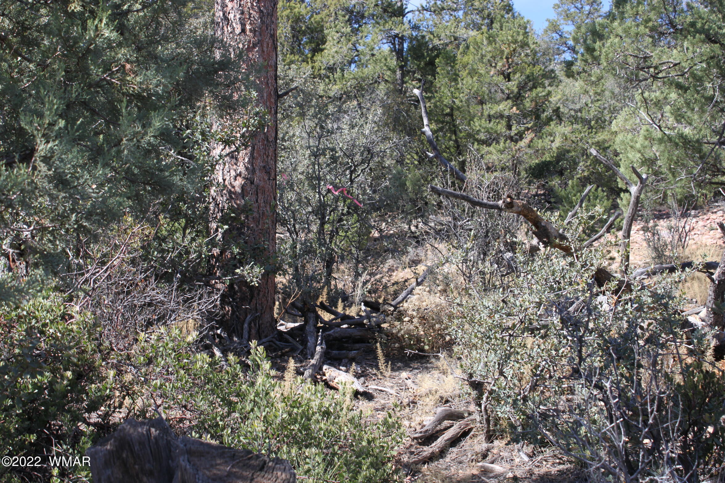 1970 S Pleasant View Drive