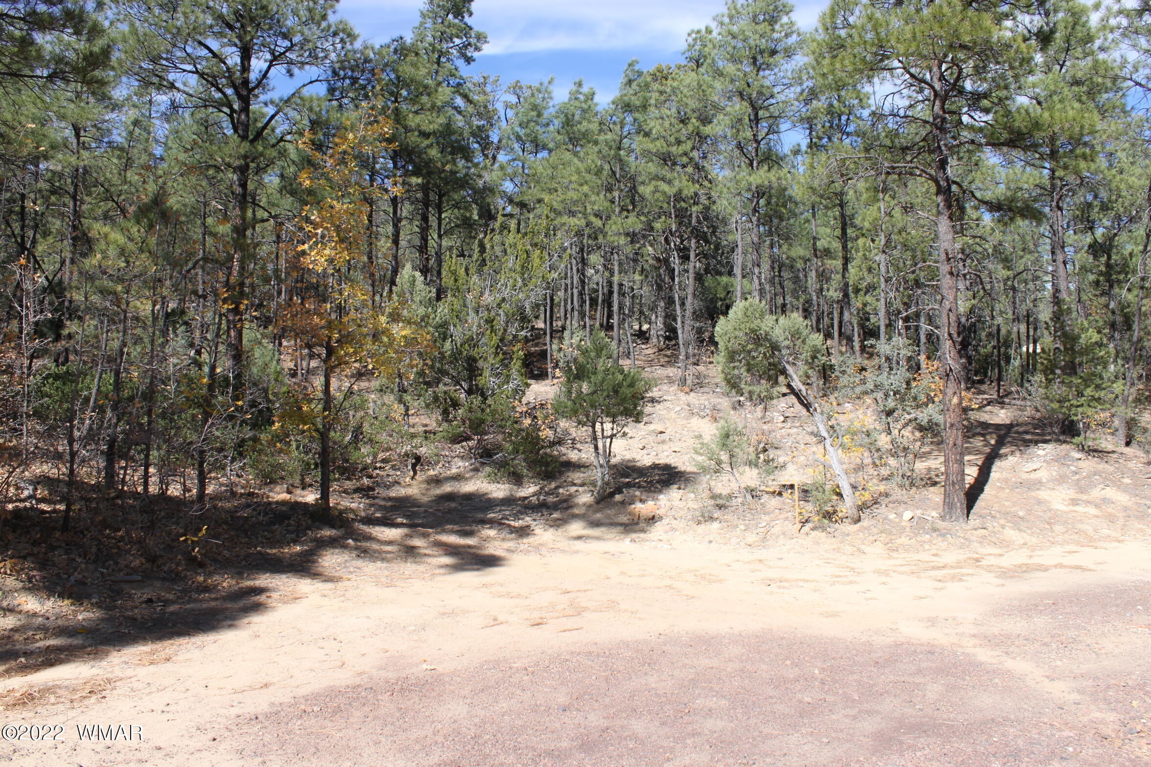 1970 S Pleasant View Drive