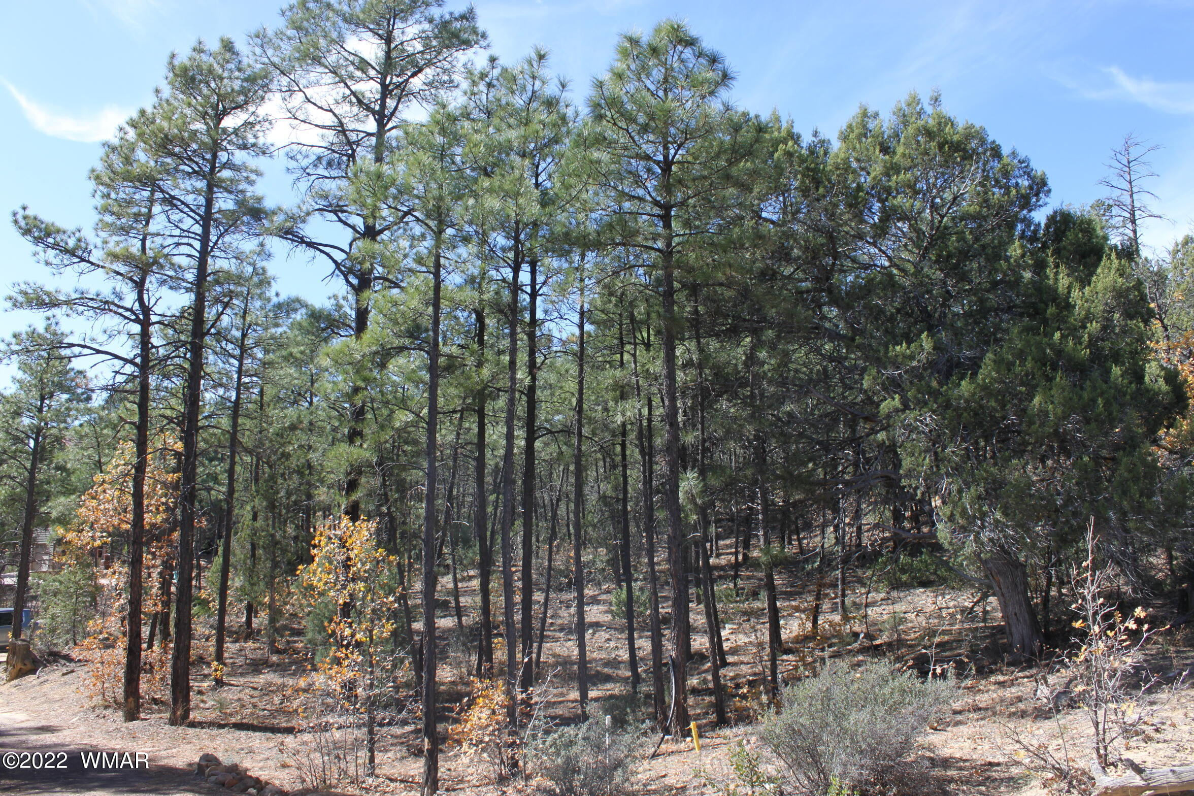 1970 S Pleasant View Drive