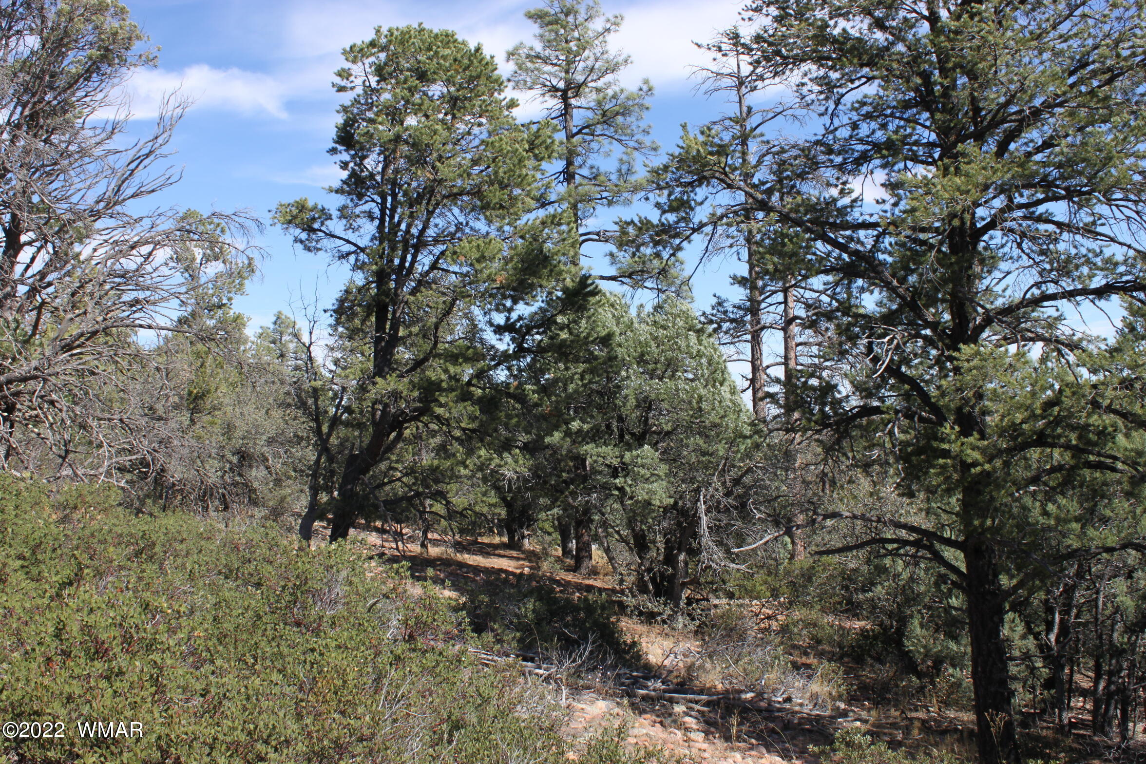 1970 S Pleasant View Drive