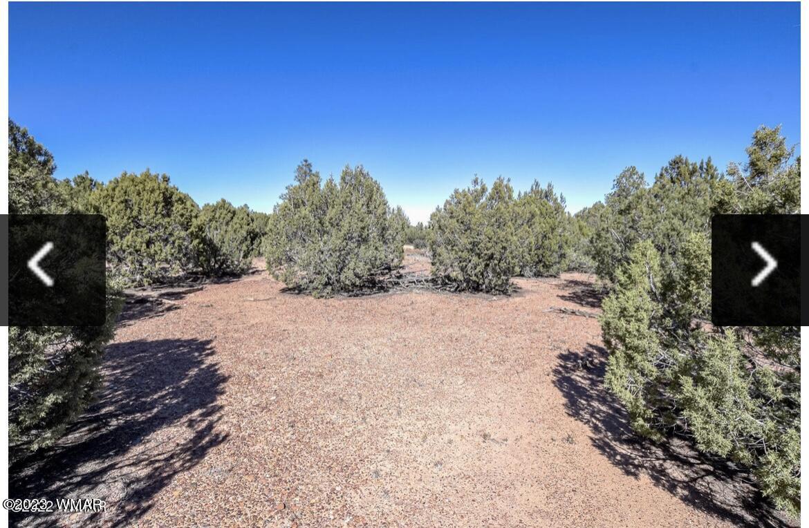 4683 S White Mountain Road