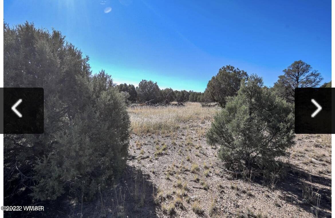 4683 S White Mountain Road