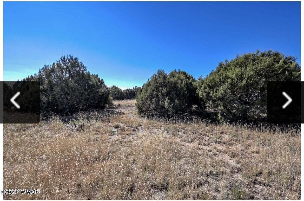 4683 S White Mountain Road