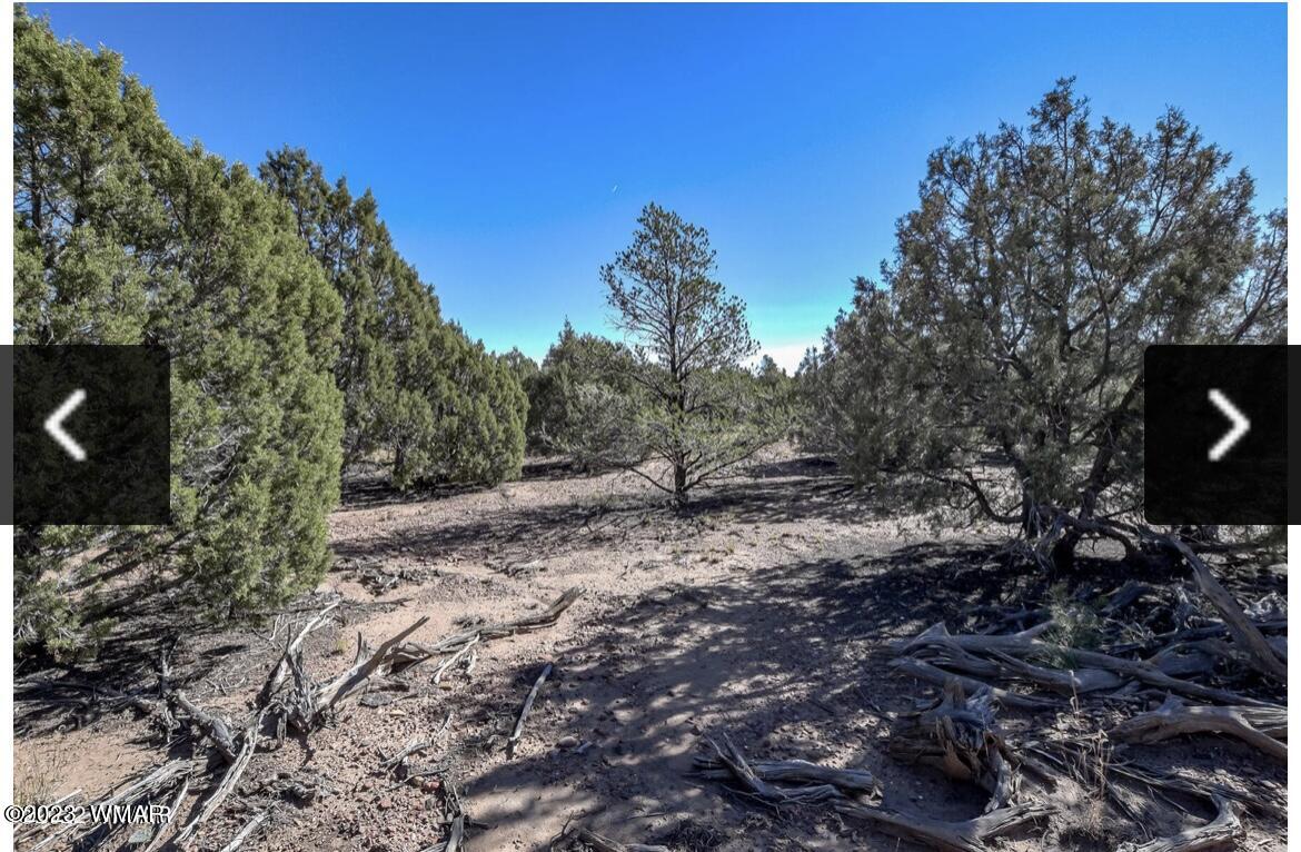 4683 S White Mountain Road