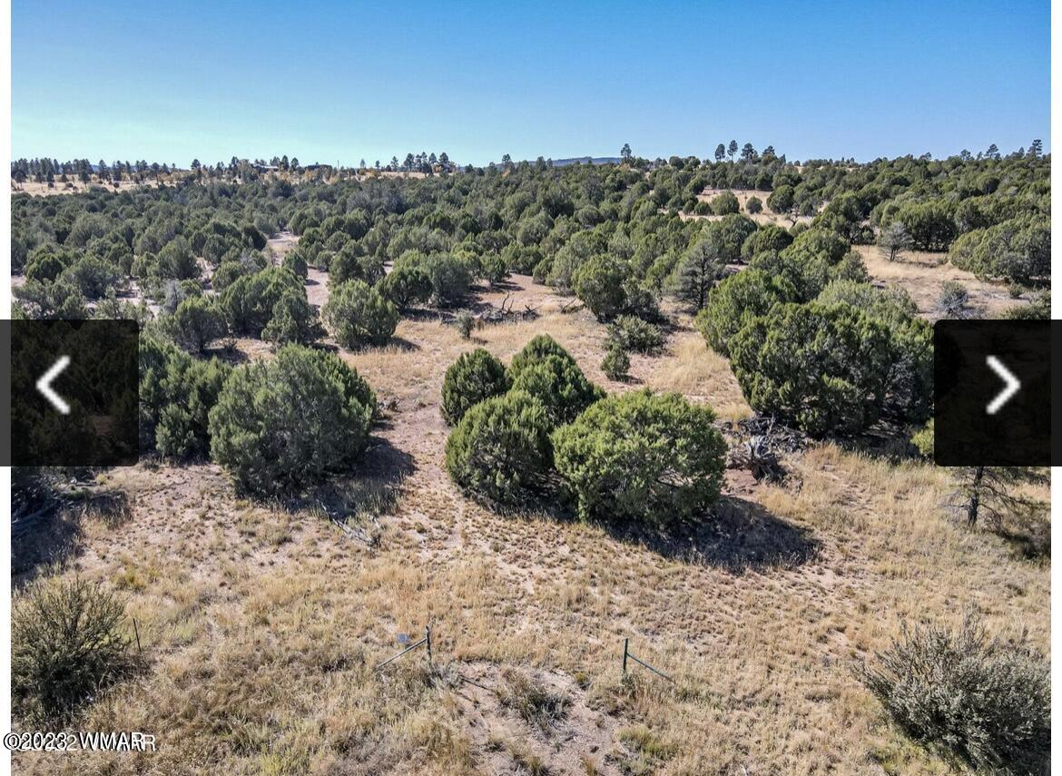 4683 S White Mountain Road