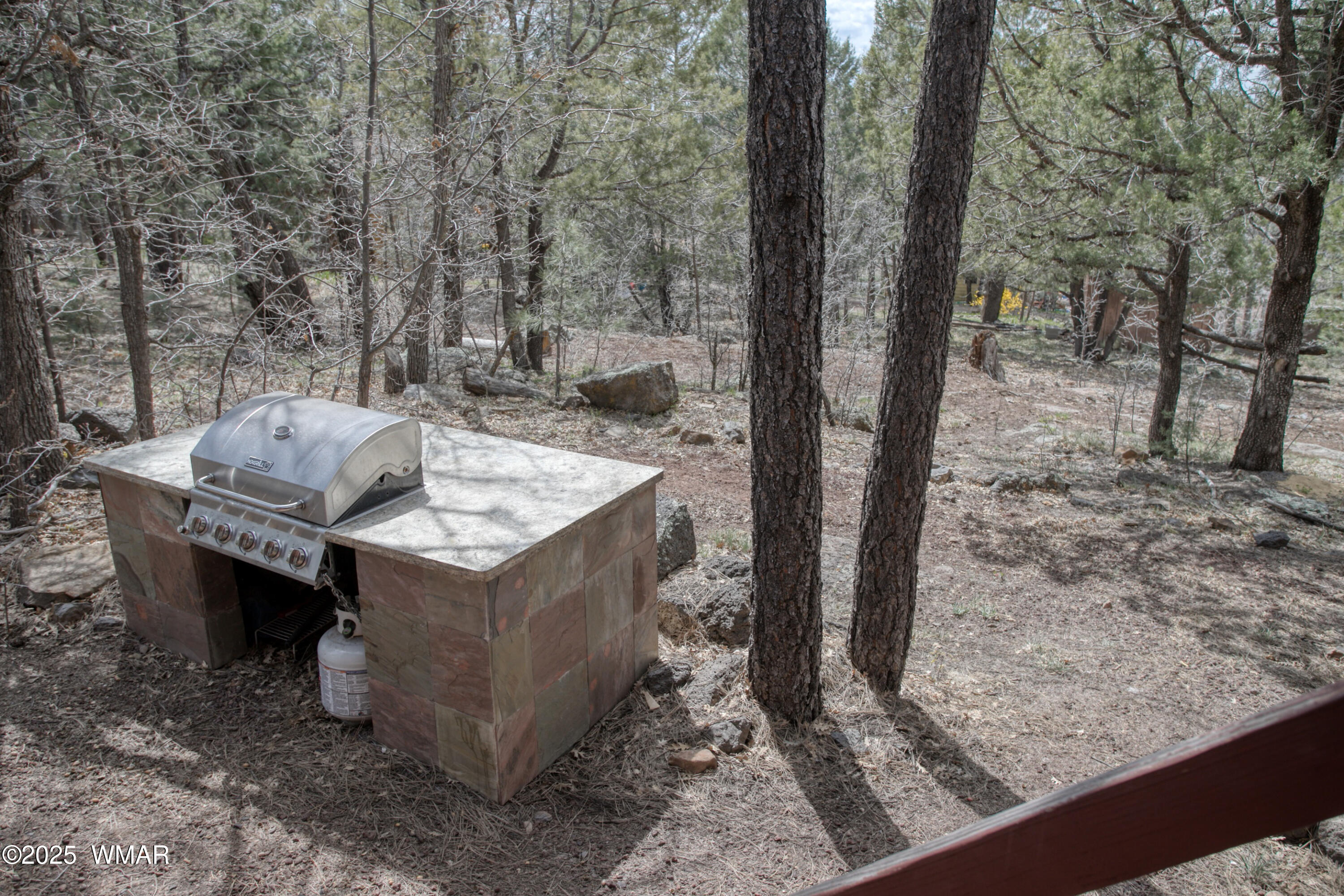 943 Backwoods Trail
