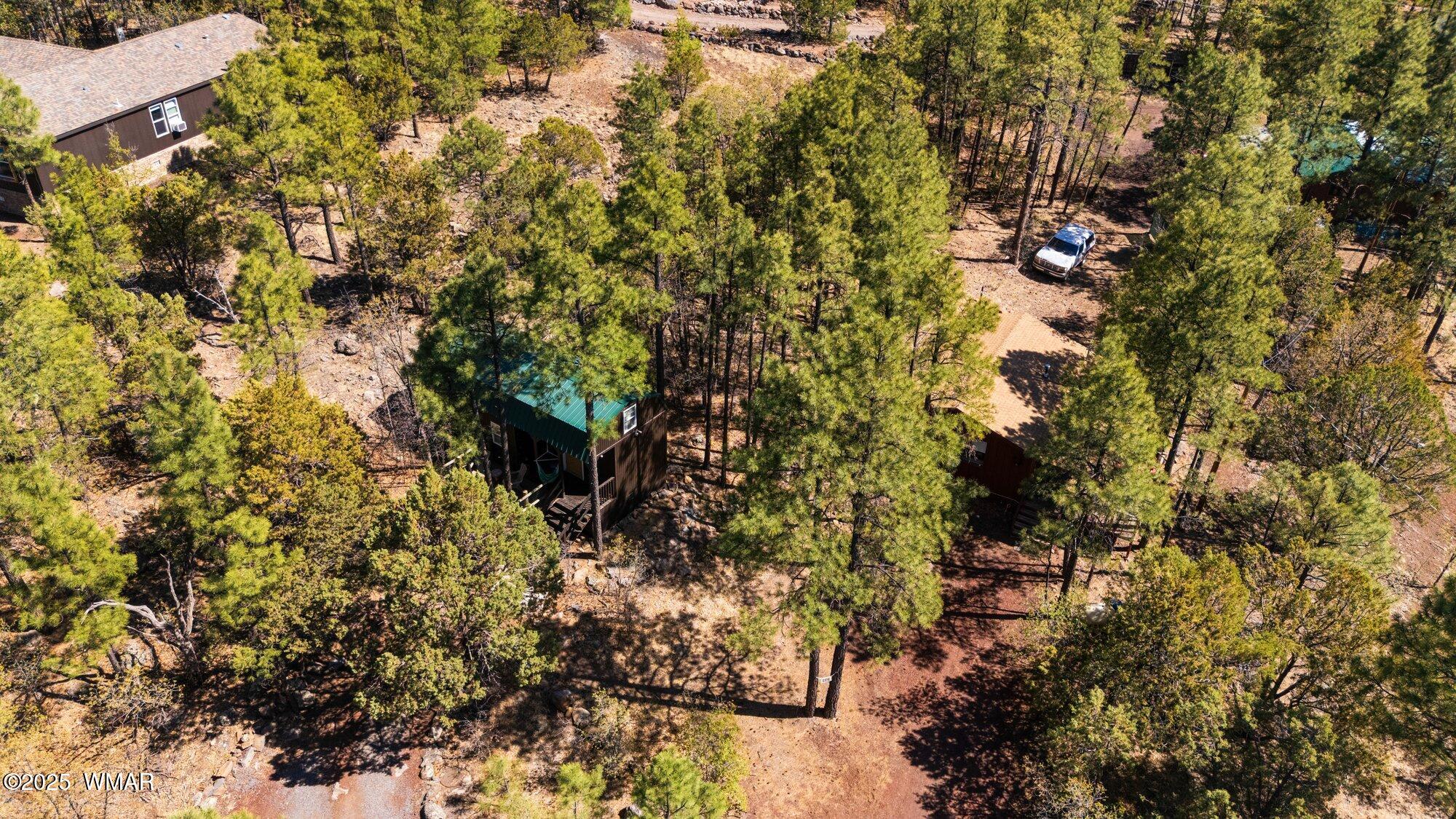 943 Backwoods Trail