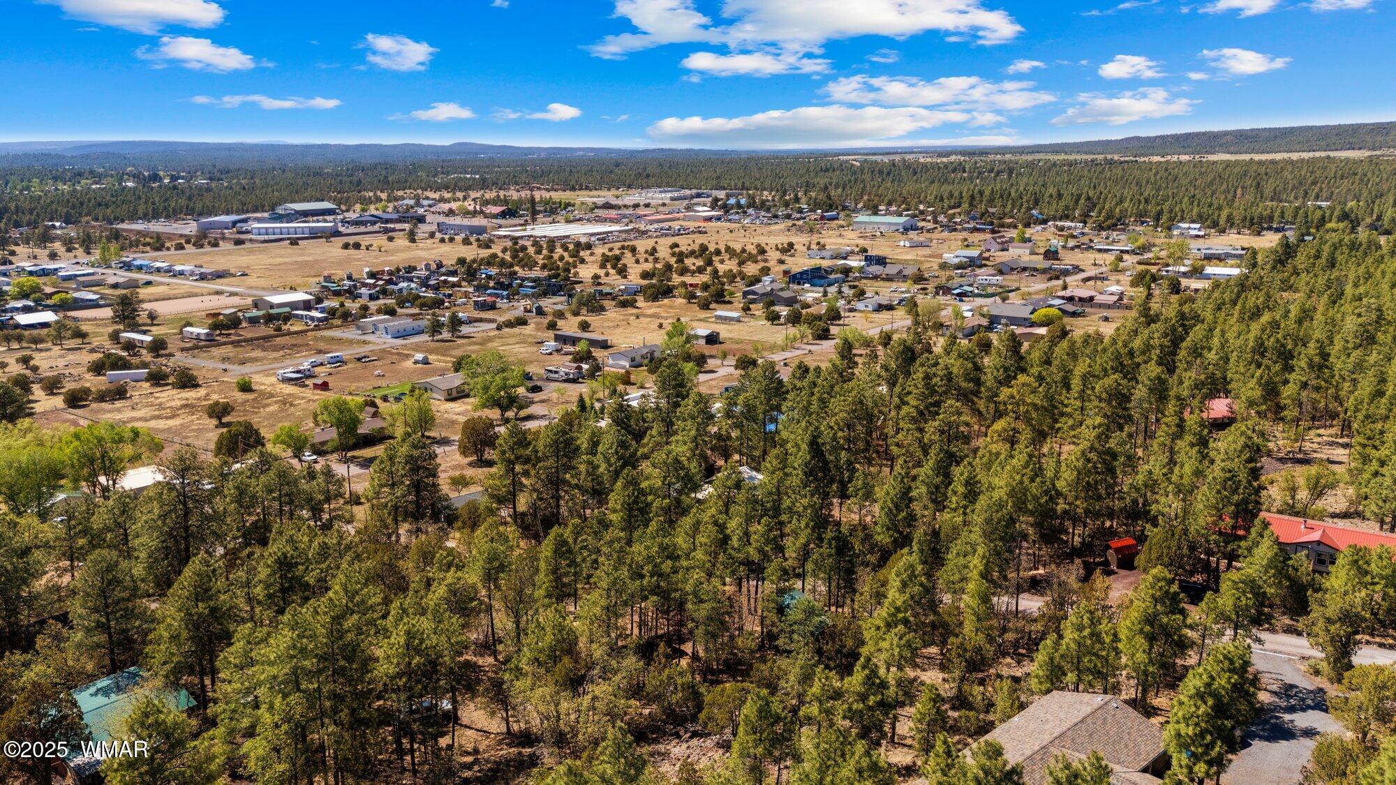 943 Backwoods Trail