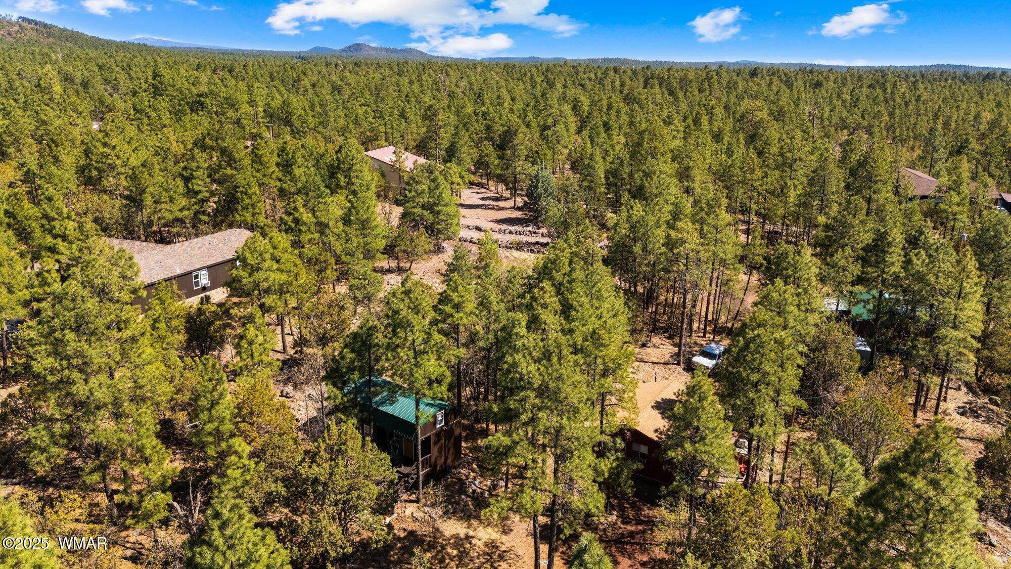 943 Backwoods Trail