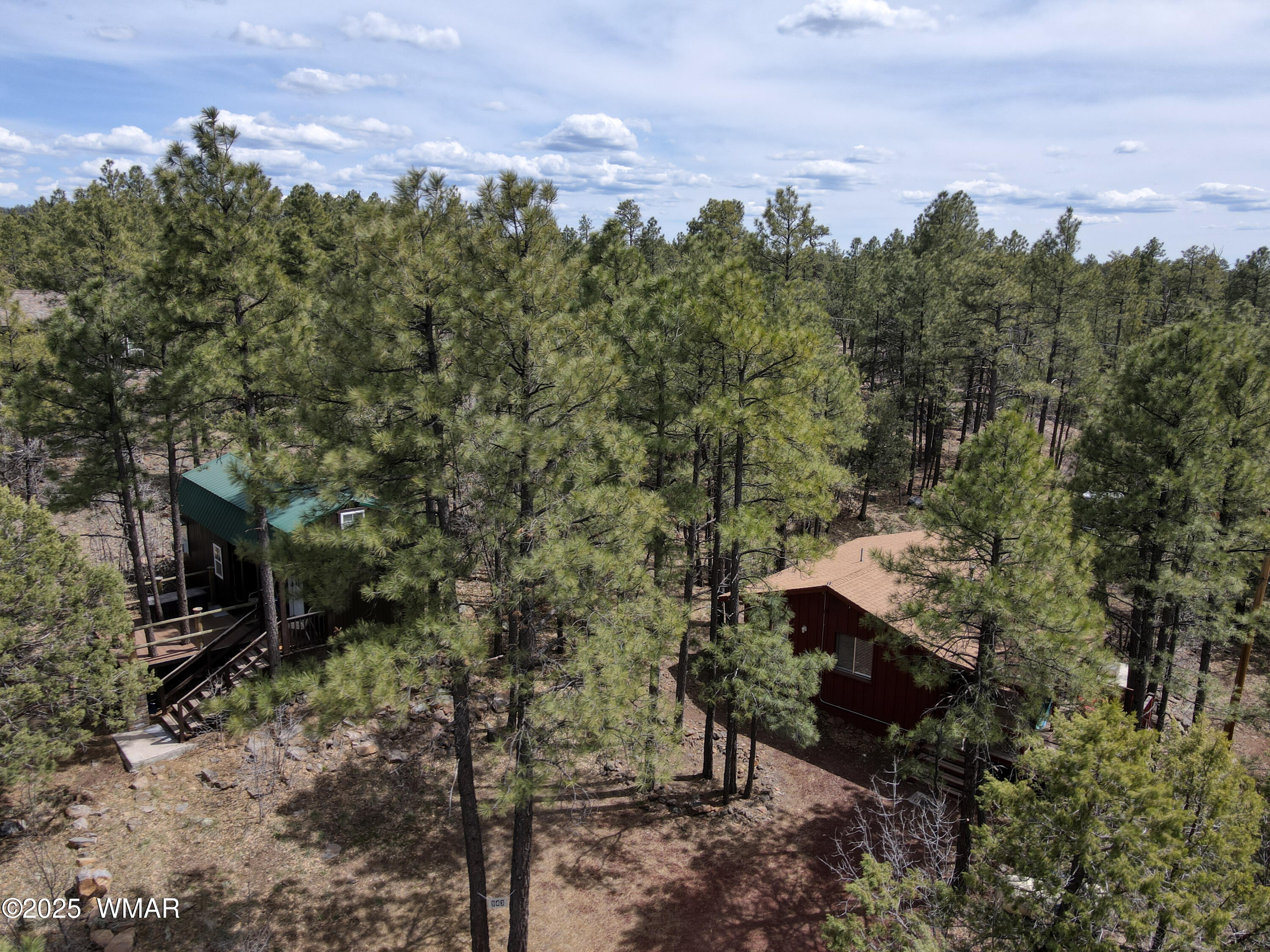943 Backwoods Trail