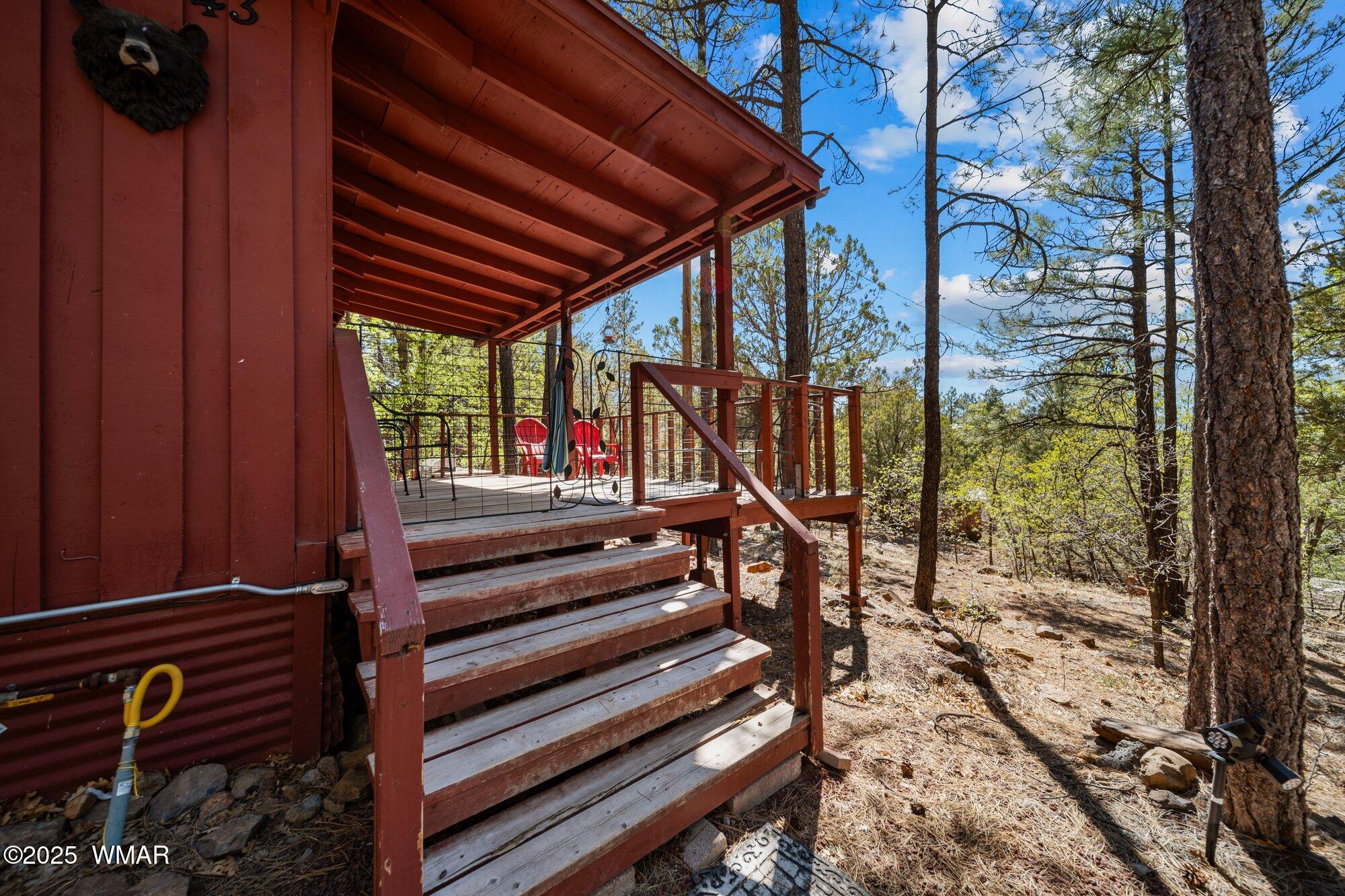 943 Backwoods Trail