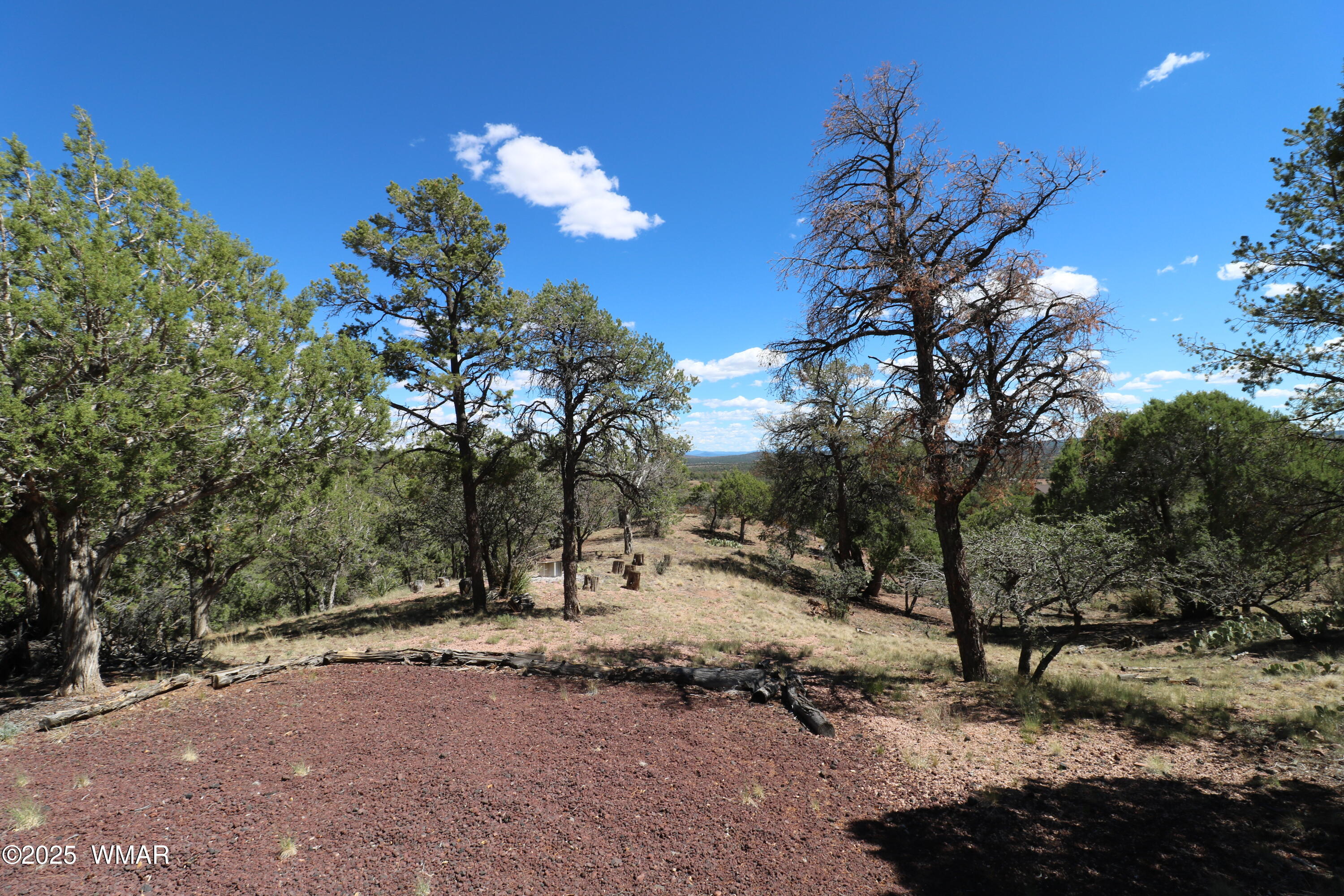 5287 Alserita Rd Road