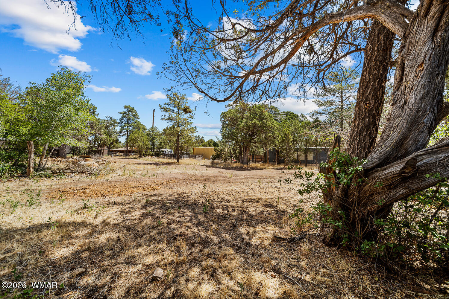 2961 Deer Trail