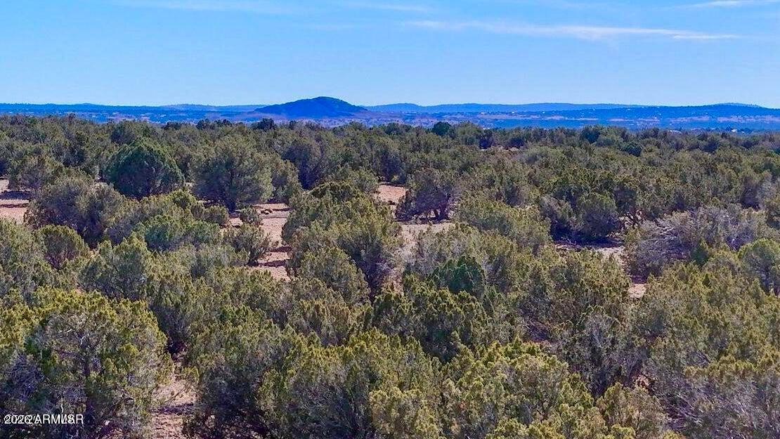 9023 Appaloosa Trl Lot A, 5 Acres -