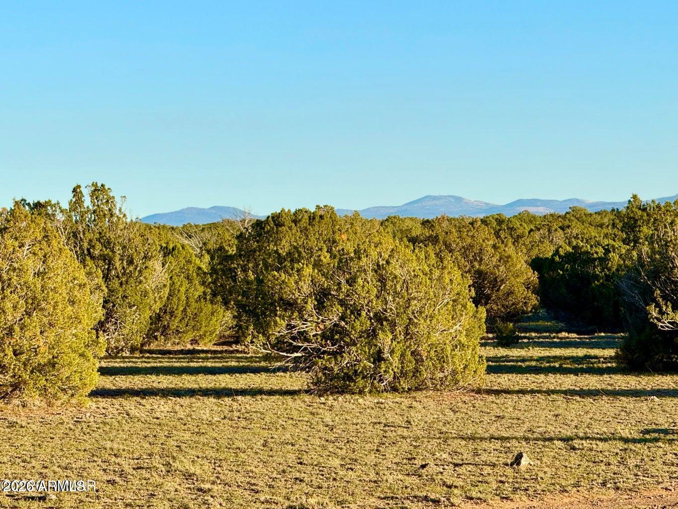 9023 Appaloosa Trl Lot A, 5 Acres -