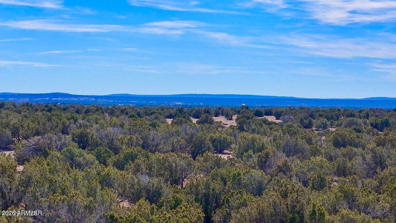 9023 Appaloosa Trl Lot A, 5 Acres -