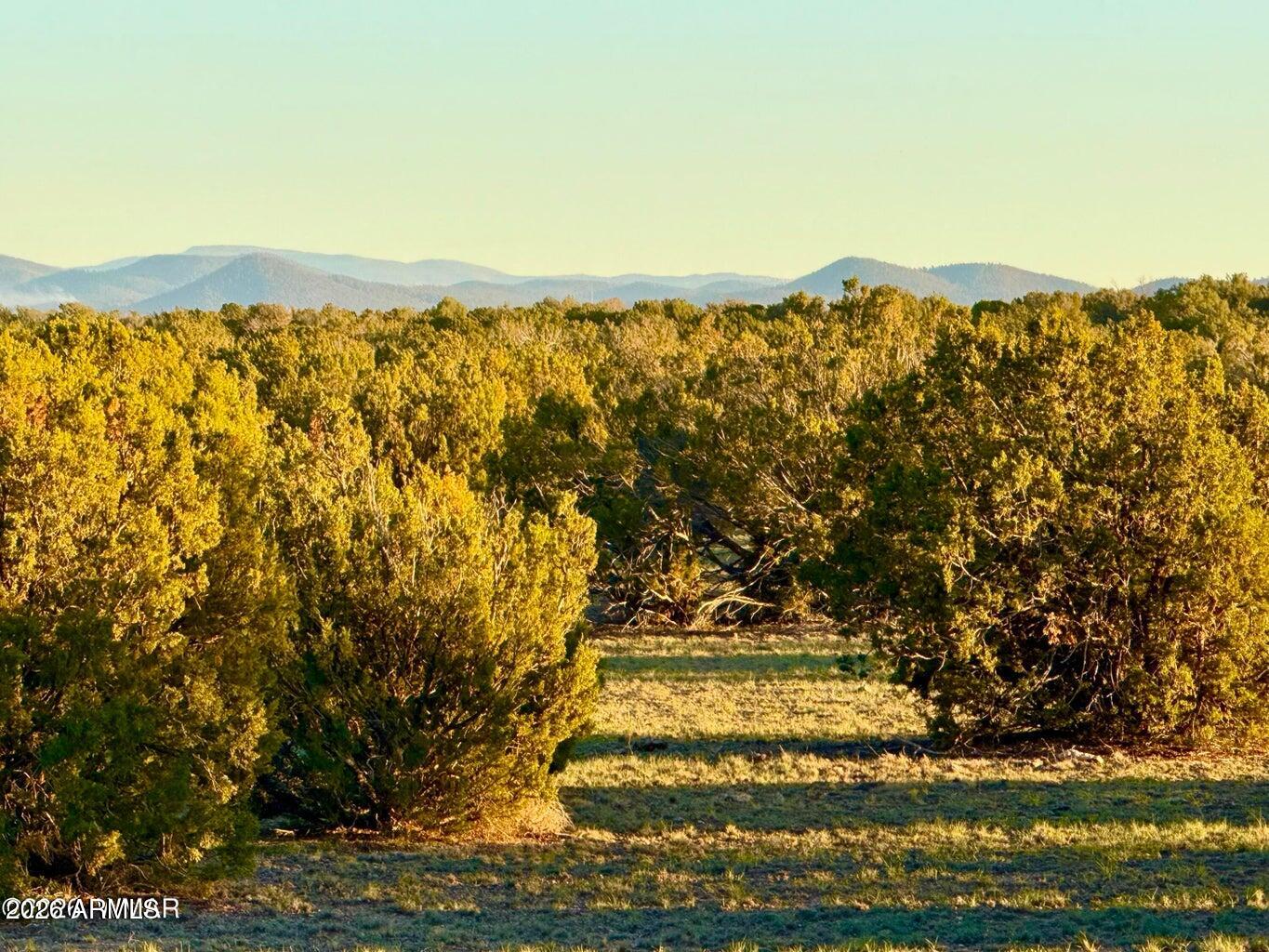 9023 Appaloosa Trl Lot A, 5 Acres -