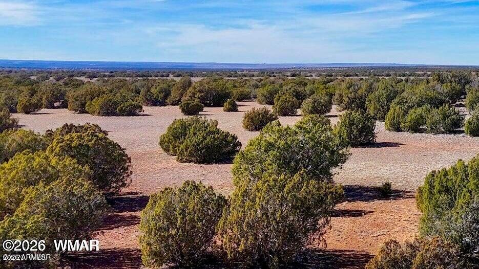 9023 Appaloosa Trl Lot A, 5 Acres -