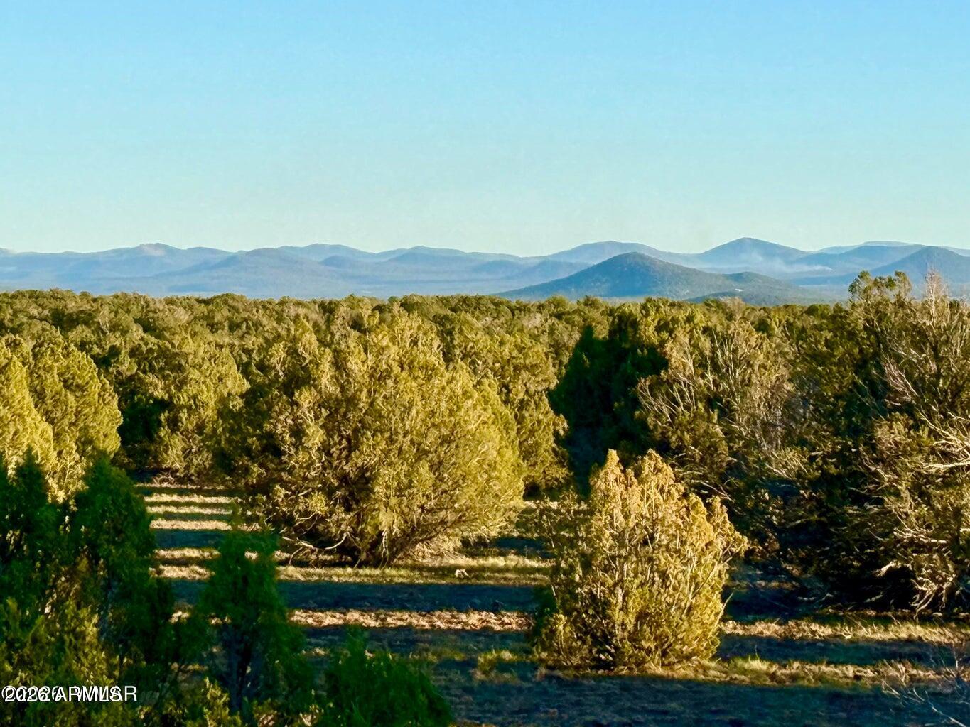 9023 Appaloosa Trl Lot A, 5 Acres -