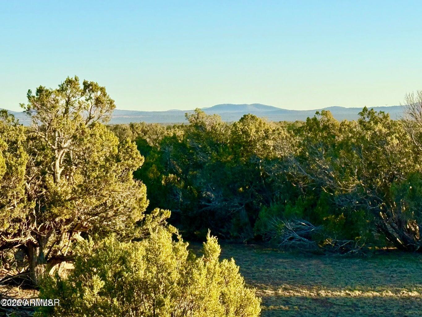 9023 Appaloosa Trl Lot A, 5 Acres -