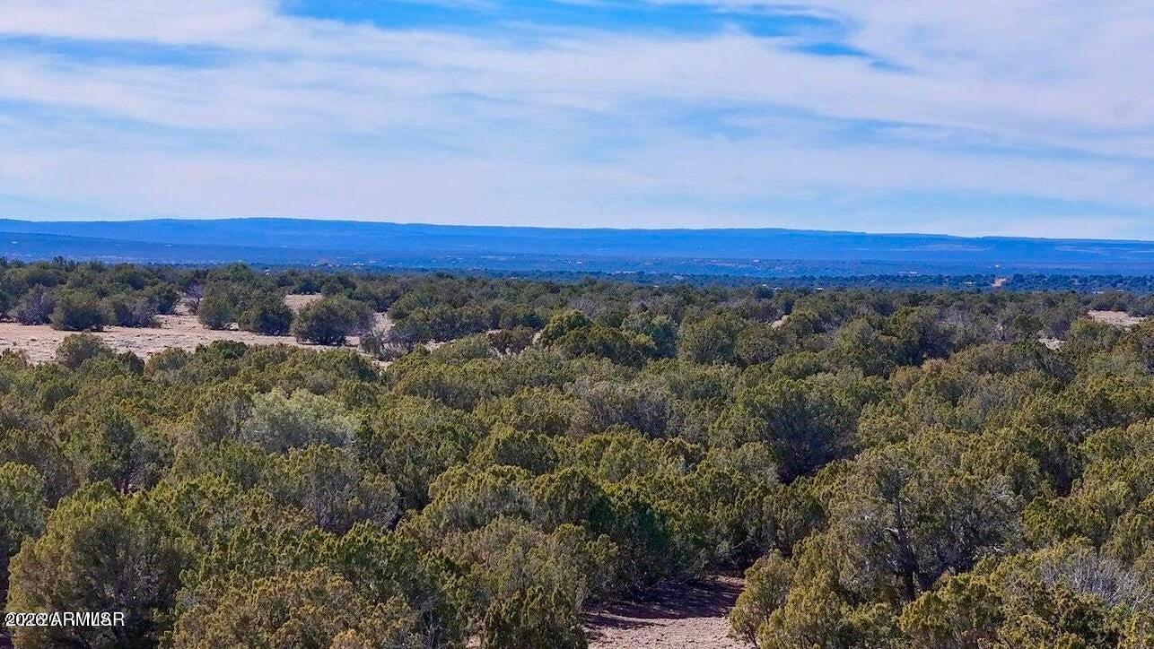 9023 Appaloosa Trl Lot A, 5 Acres -