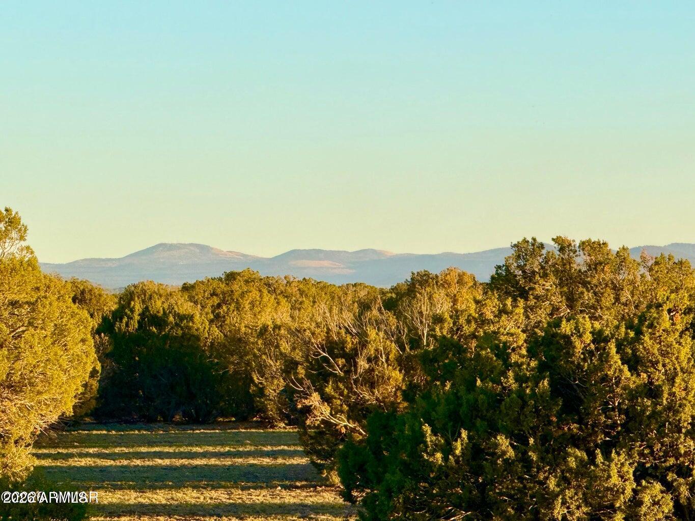9023 Appaloosa Trl Lot A, 5 Acres -