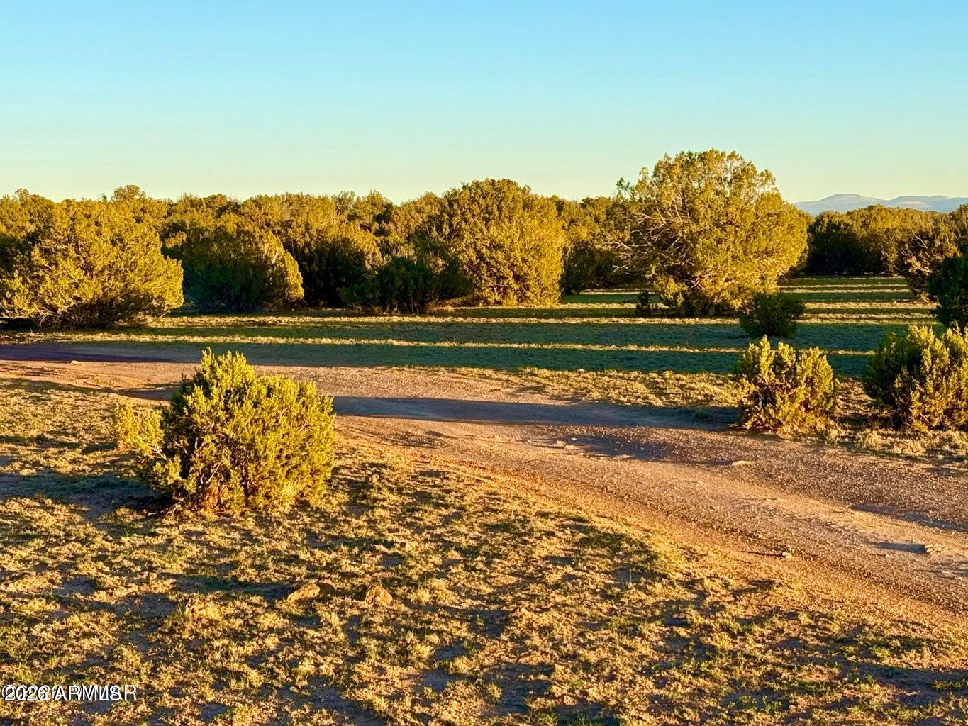 9023 Appaloosa Trl Lot A, 5 Acres -