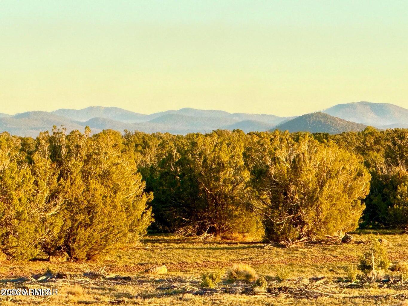 9023 Appaloosa Trl Lot A, 5 Acres -