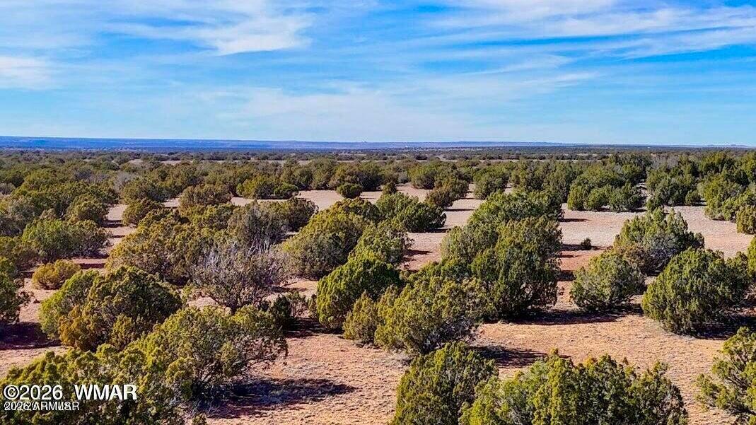 9023 Appaloosa Trl Lot A, 5 Acres -