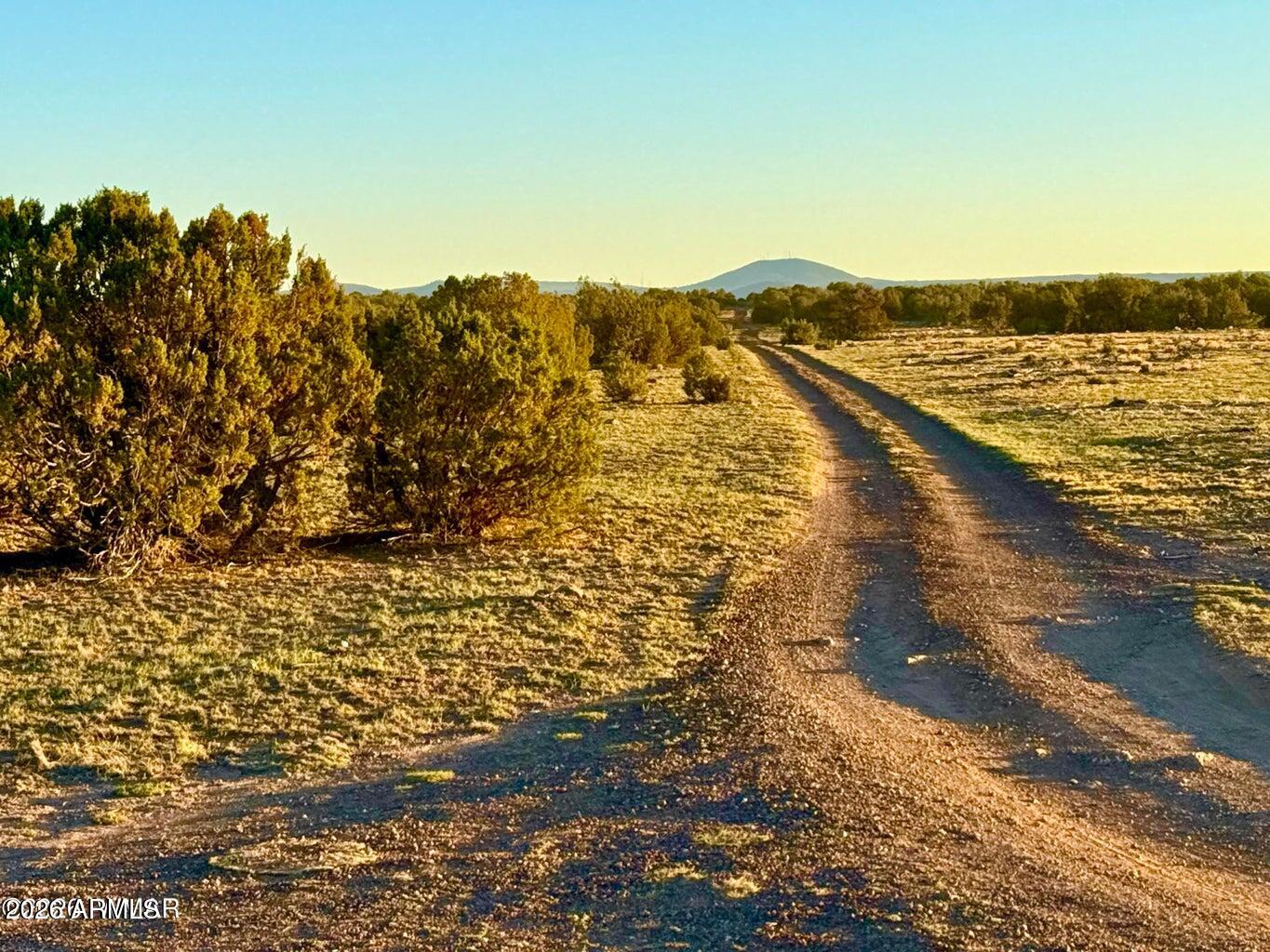 9023 Appaloosa Trl Lot A, 5 Acres -