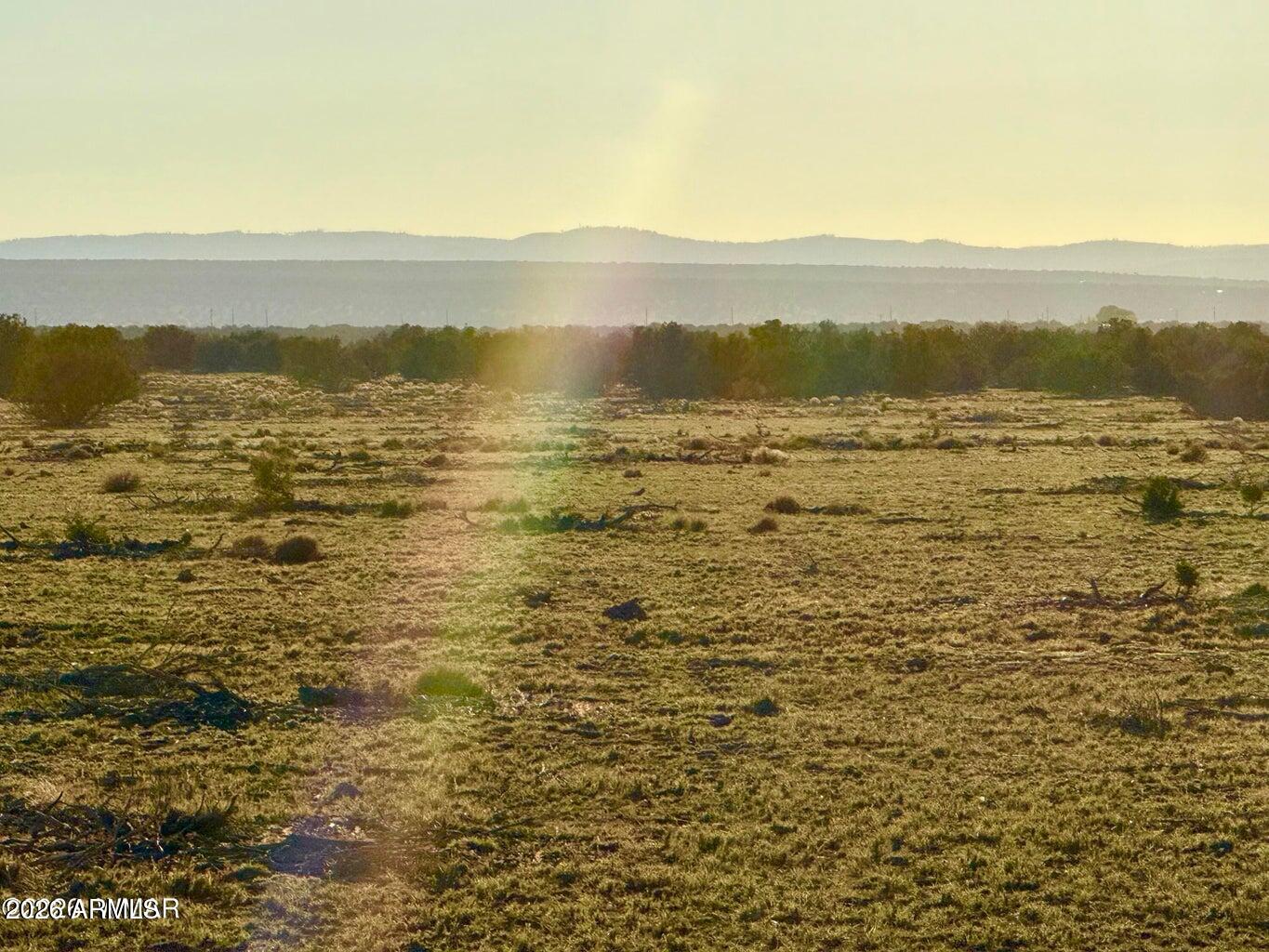9023 Appaloosa Trl Lot A, 5 Acres -
