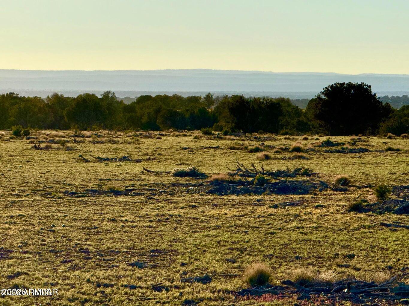 9023 Appaloosa Trl Lot A, 5 Acres -