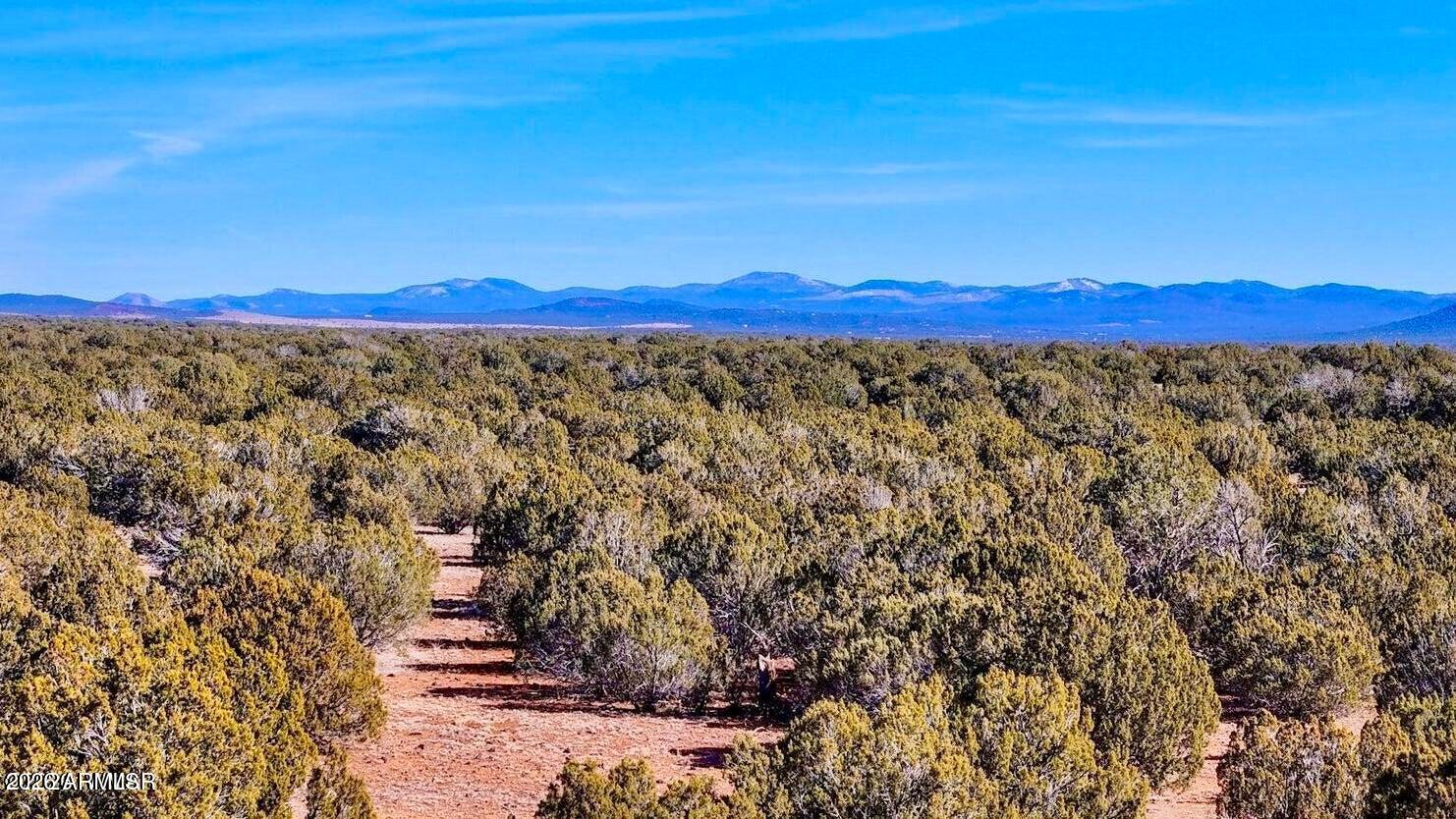 9023 Appaloosa Trl Lot A, 5 Acres -
