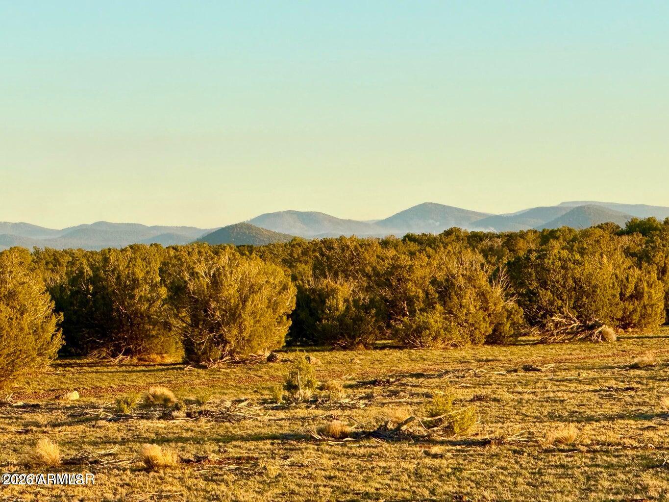 9023 Appaloosa Trl Lot A, 5 Acres -