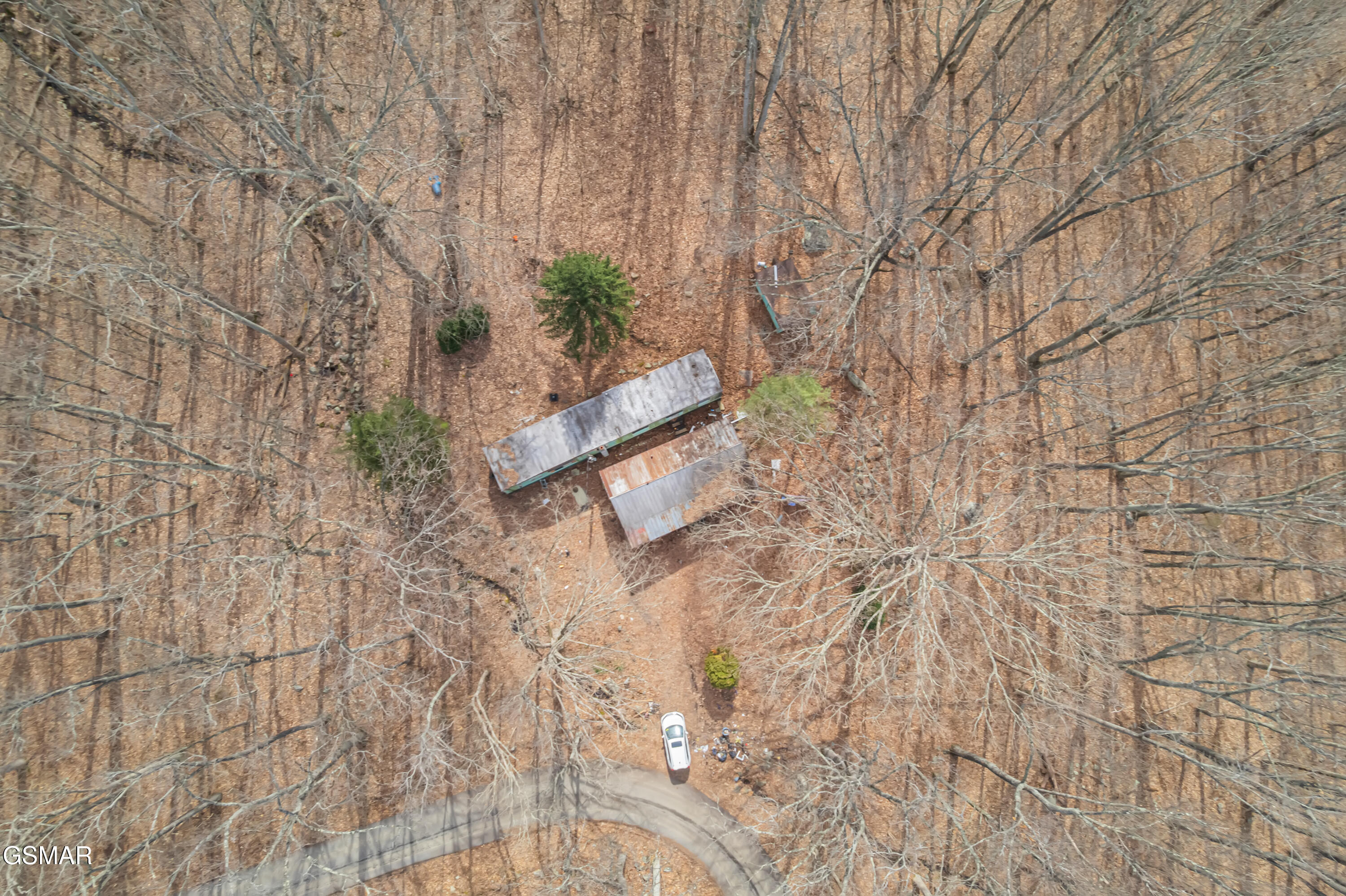 3696 Collier Loop