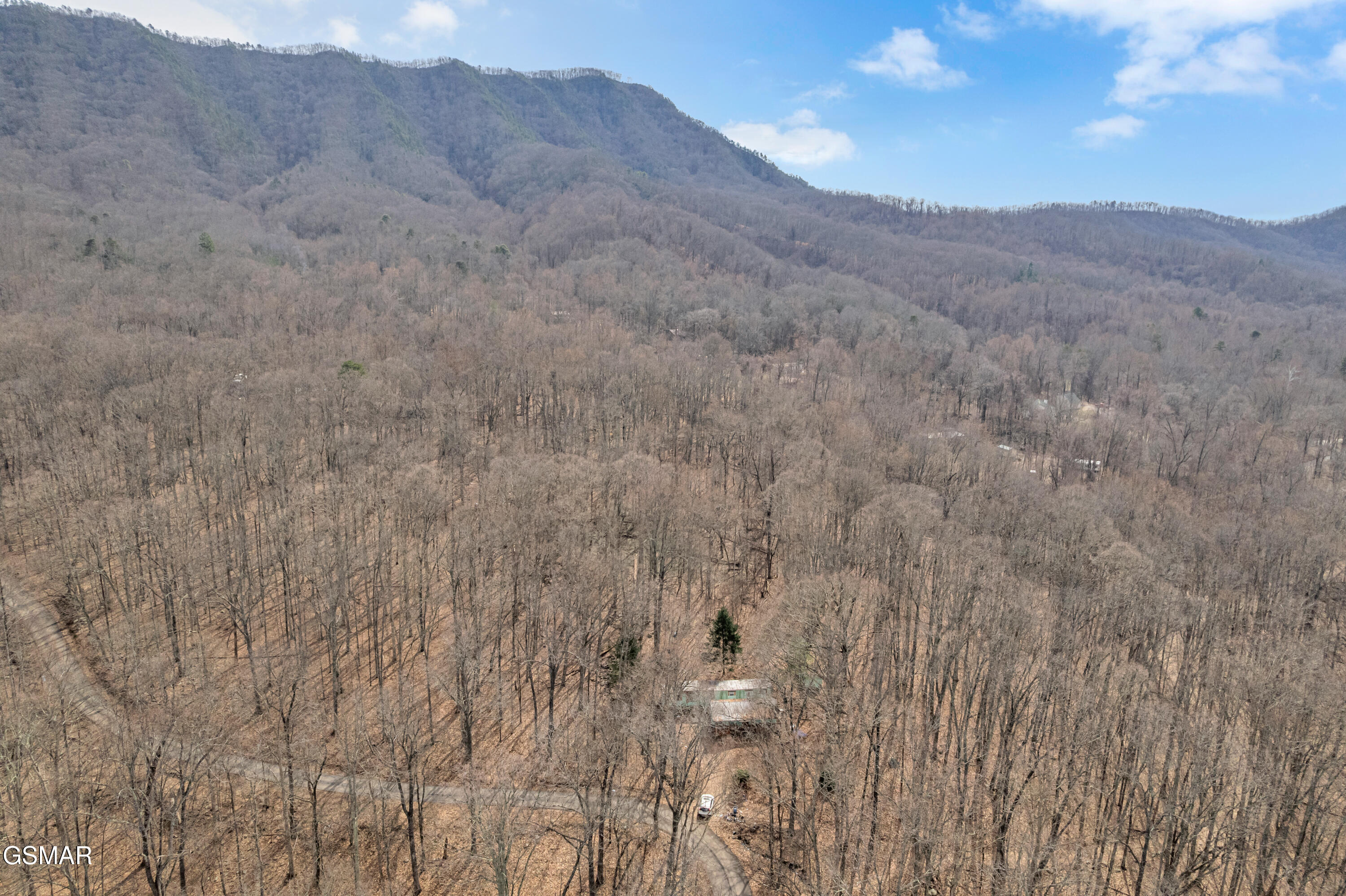 3696 Collier Loop