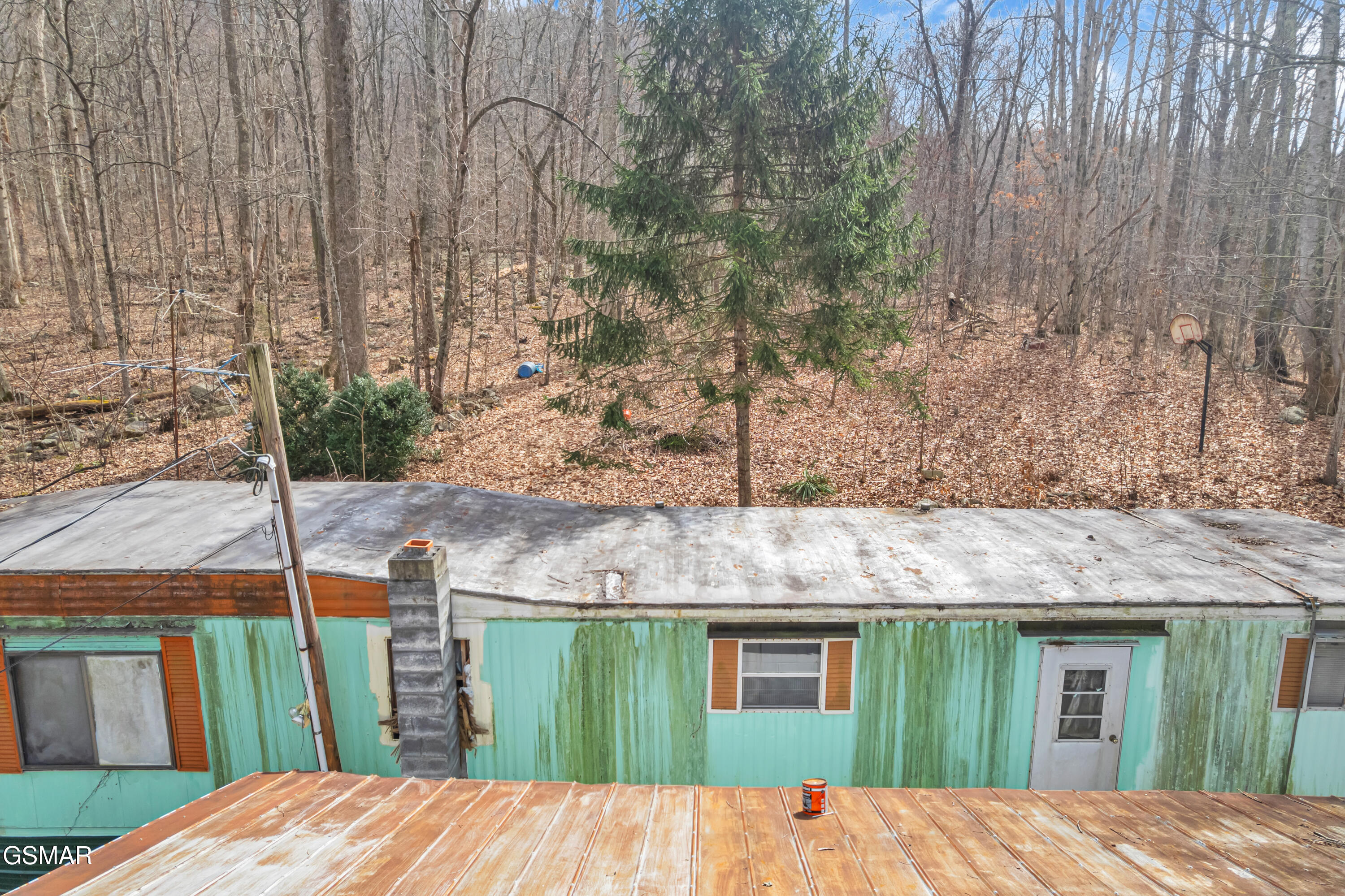 3696 Collier Loop