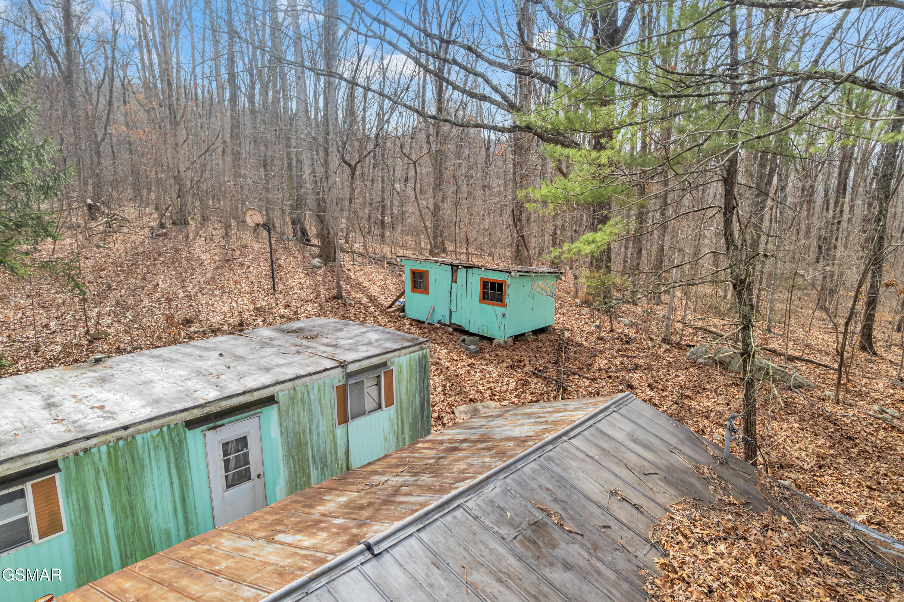 3696 Collier Loop