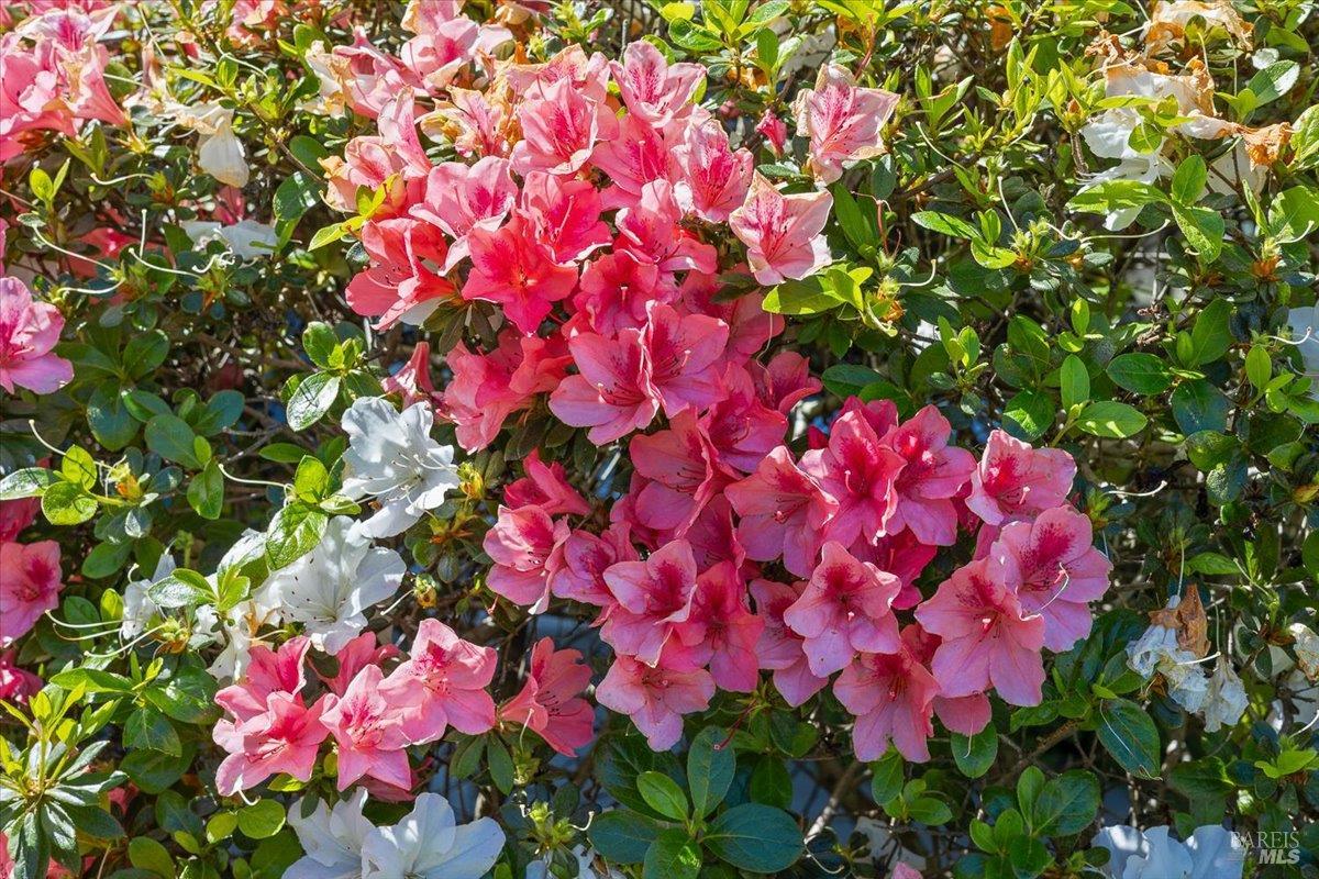 417 Deerfield Circle