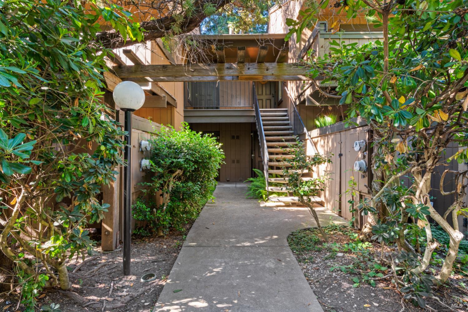 31 Arbor Street