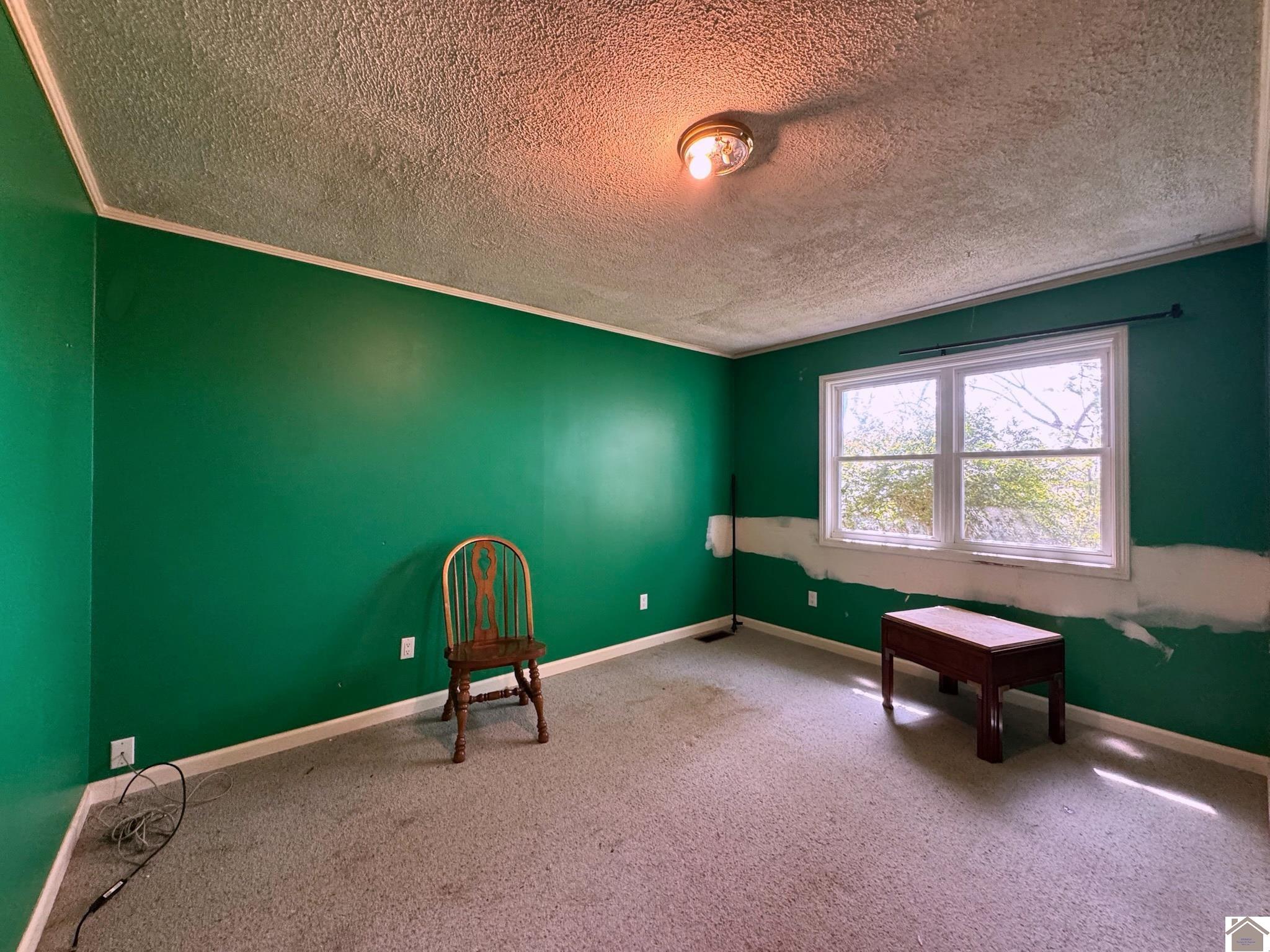 556 Mercy Drive